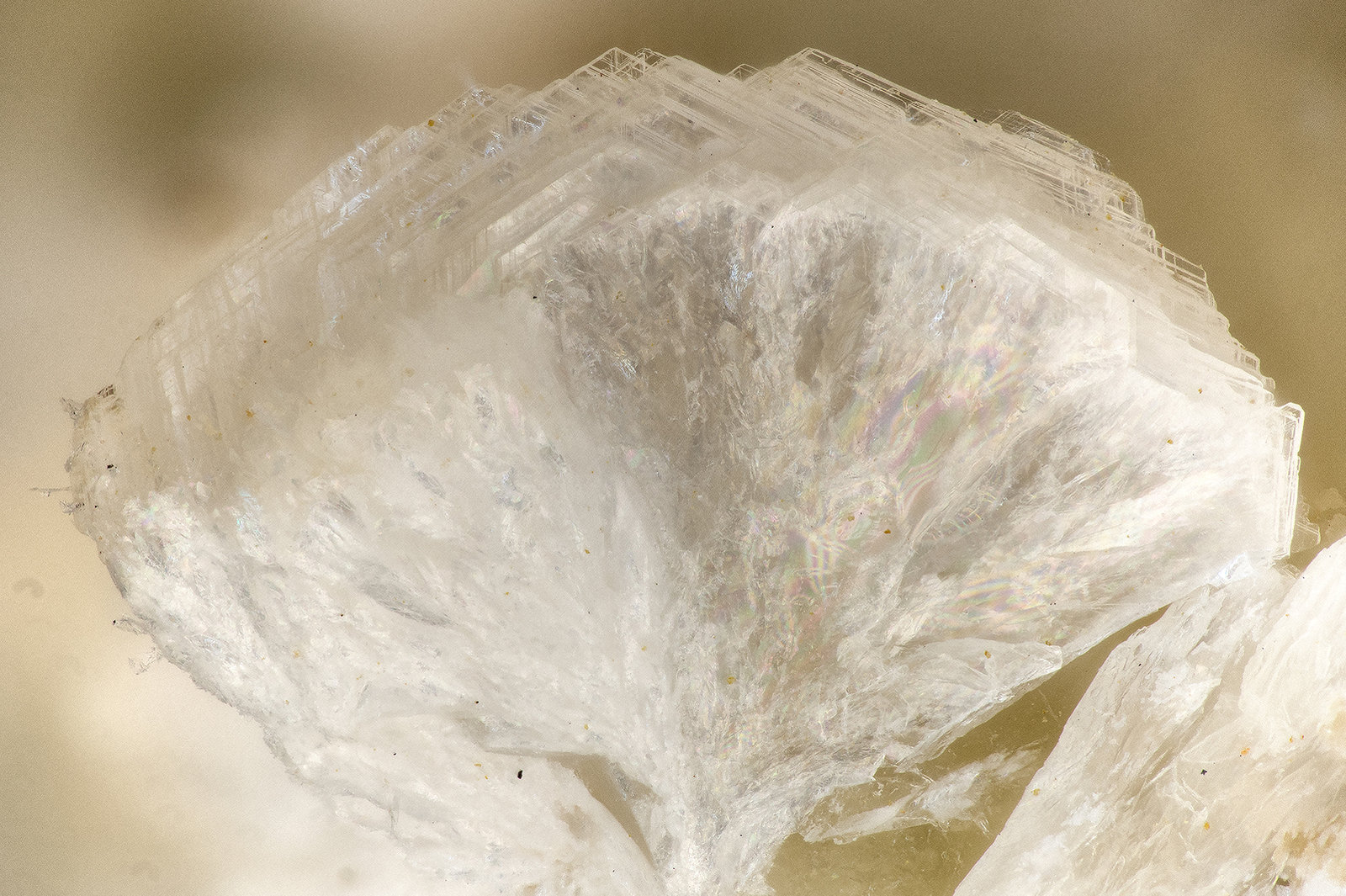 Gyrolite
FOV = 3.4 mm
(Autor: Doug)