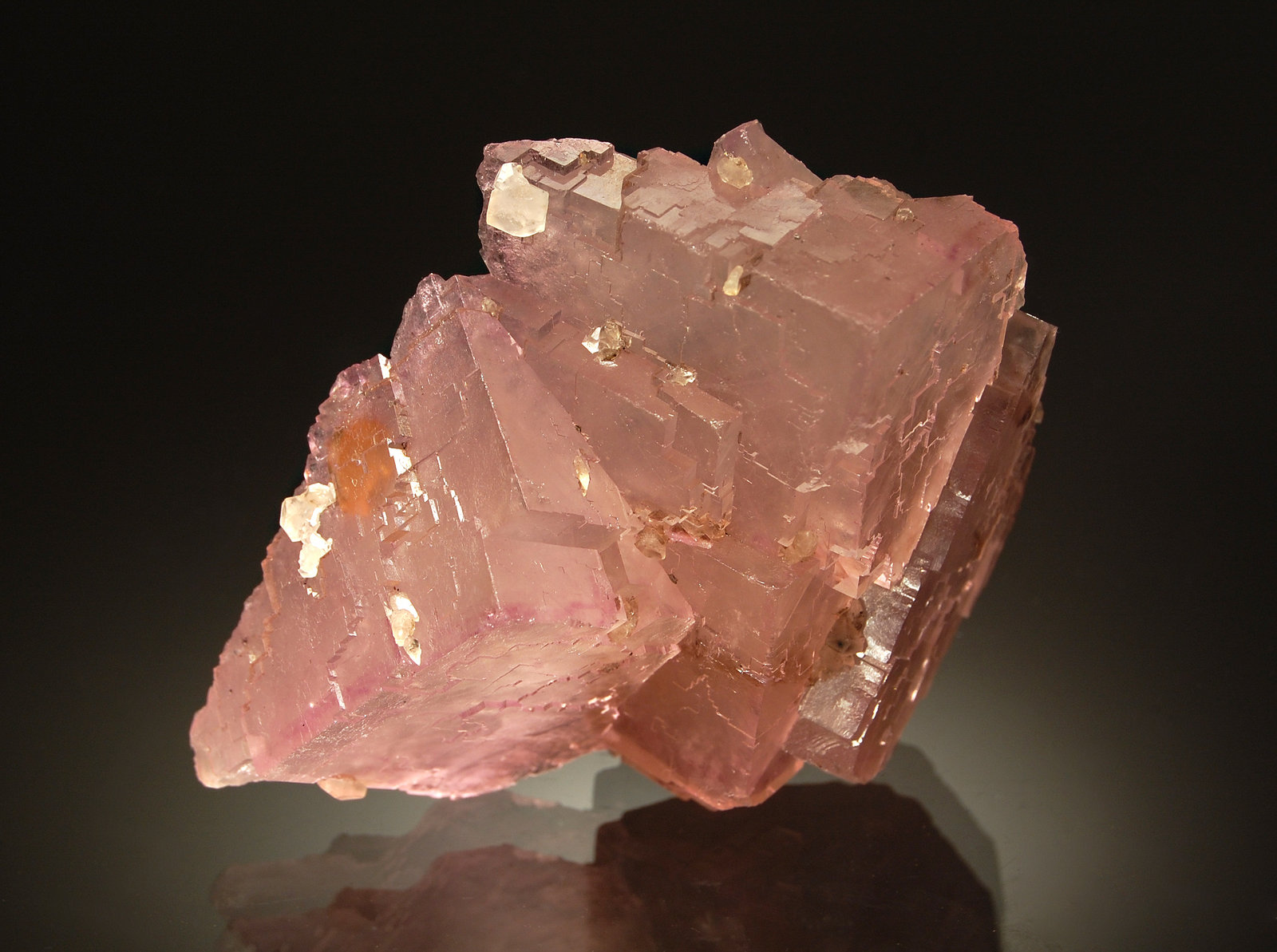 Fluorite
6.0 x 7.5 cm
(Autor: Michael Shaw)