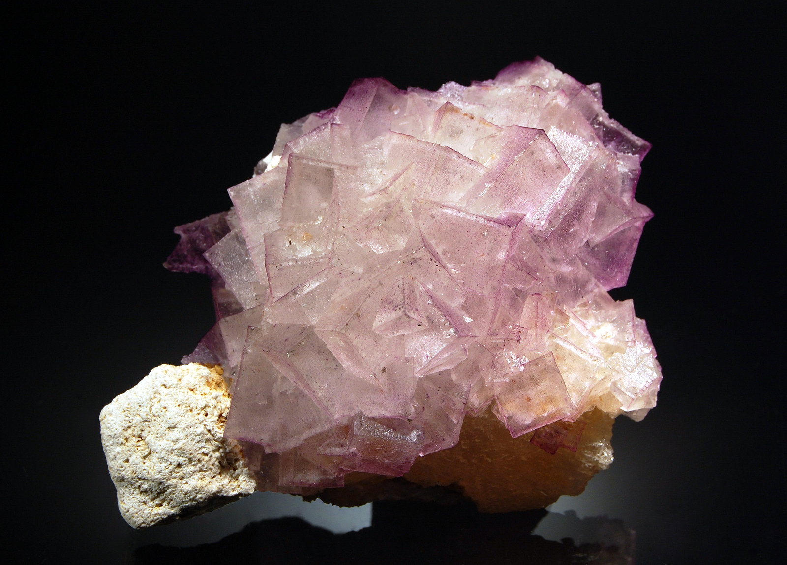Fluorite
6.8 x 9.1 cm
(Autor: Michael Shaw)