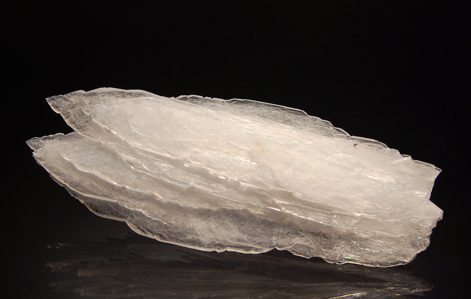 Celestine
3.1 x 8.2 cm
(Autor: Michael Shaw)
