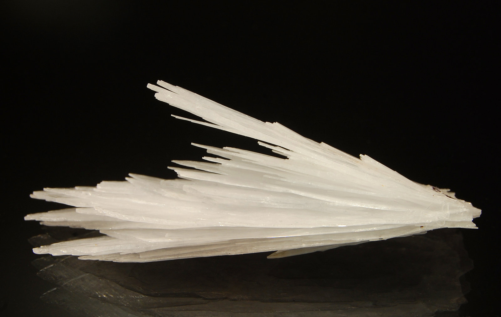 Celestine
3.1 x 8.2 cm
(Autor: Michael Shaw)