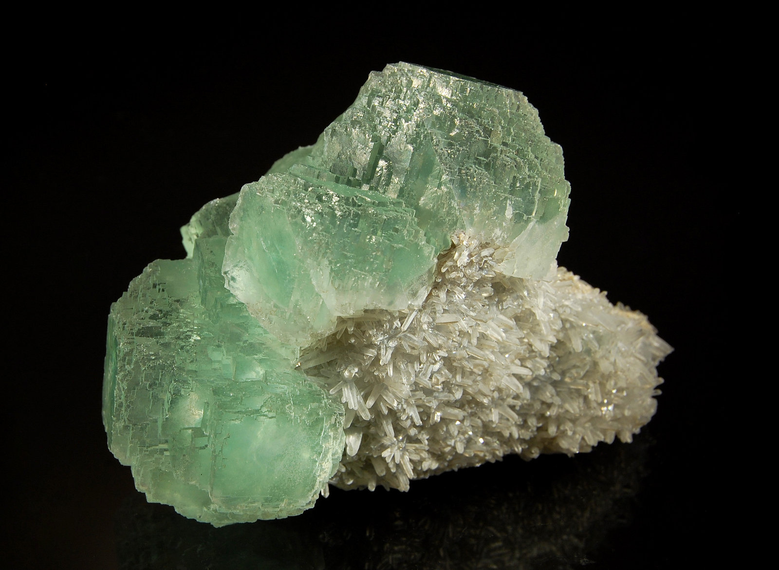 Fluorite
5.0 x 7.7 cm.
(Autor: Michael Shaw)