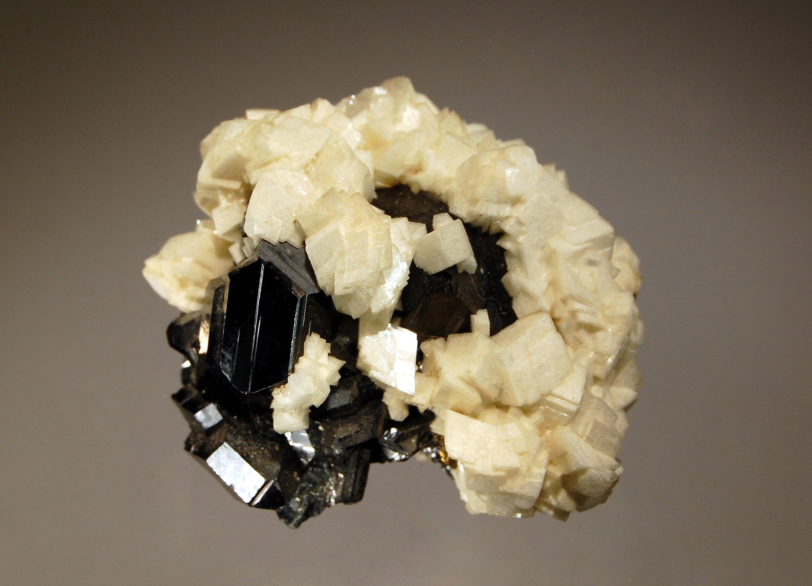 Dolomite
4.0 x 4.7 cm
(Autor: Michael Shaw)