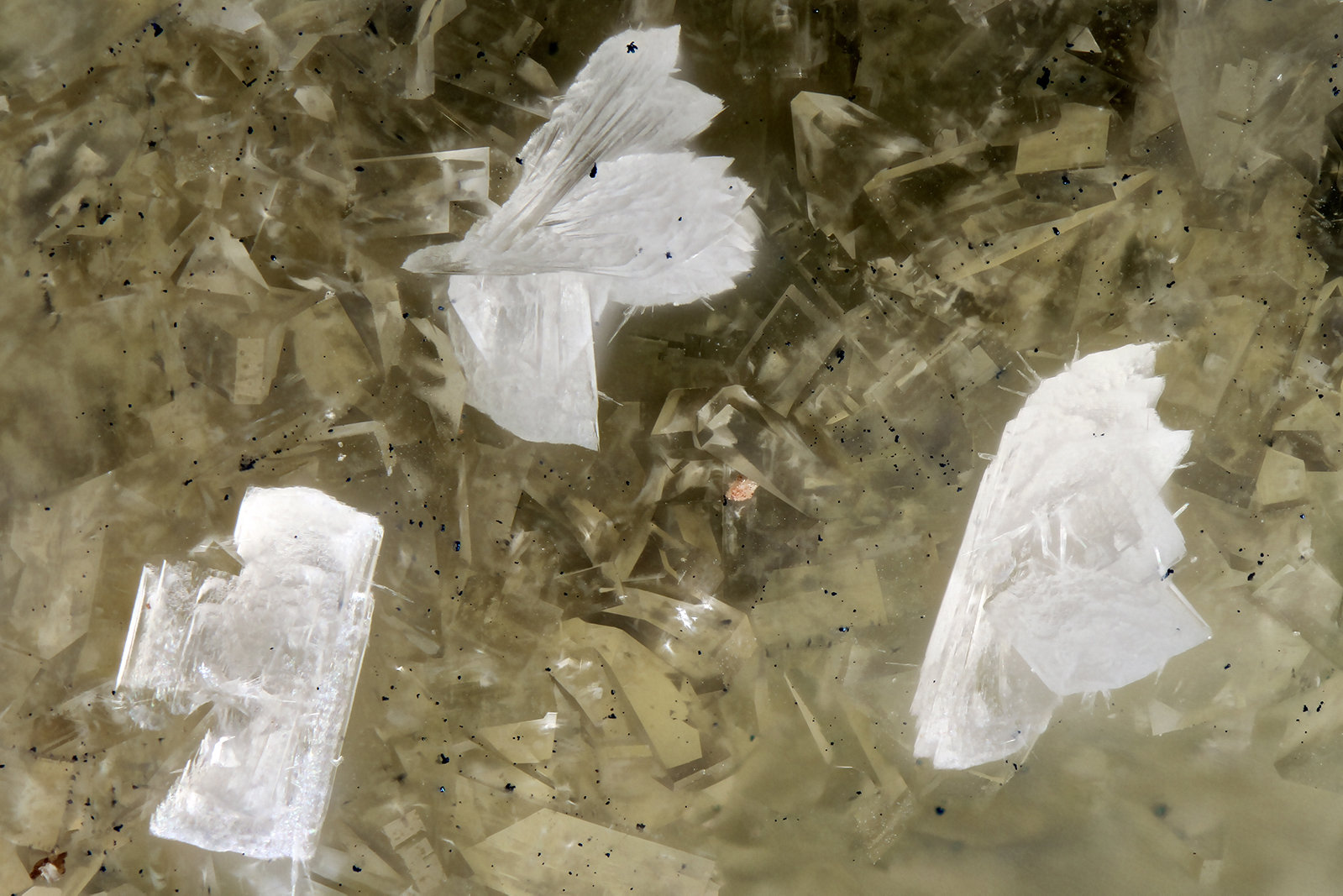 'Thomsonite'
FOV = 1.6 mm
(Autor: Doug)