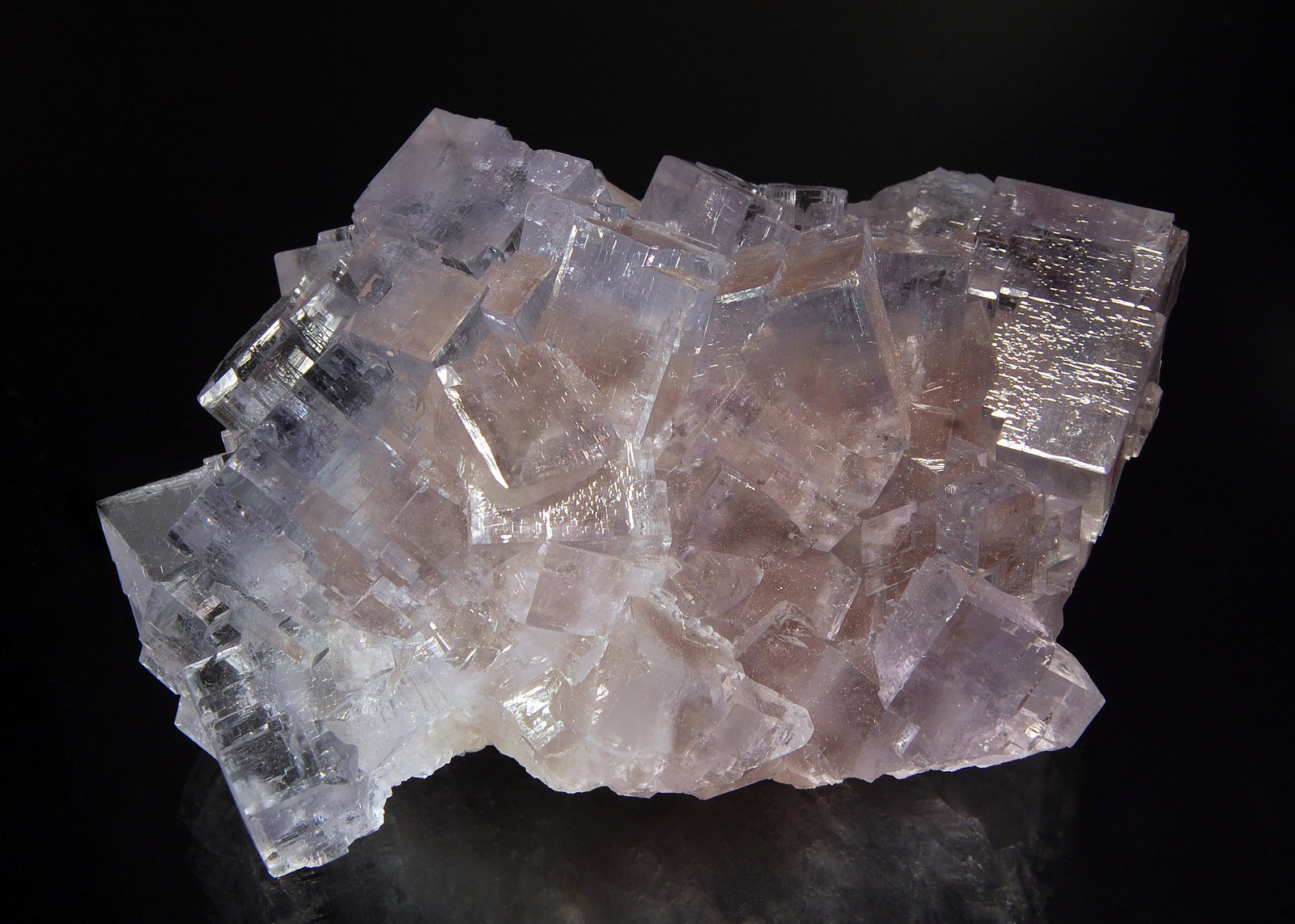 Fluorite
6.8 x 10.5 cm
(Autor: Michael Shaw)