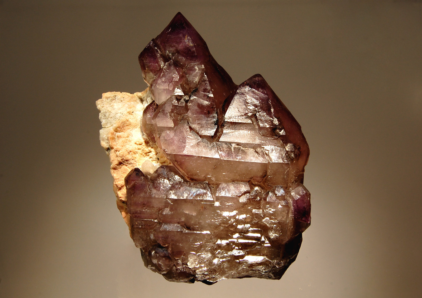 Quartz (variety amethyst)
8.3 x 10.9 cm
(Autor: Michael Shaw)