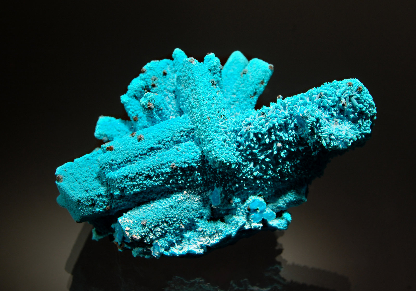 Chrysocolla
4.1 x 7.1 cm
(Autor: Michael Shaw)