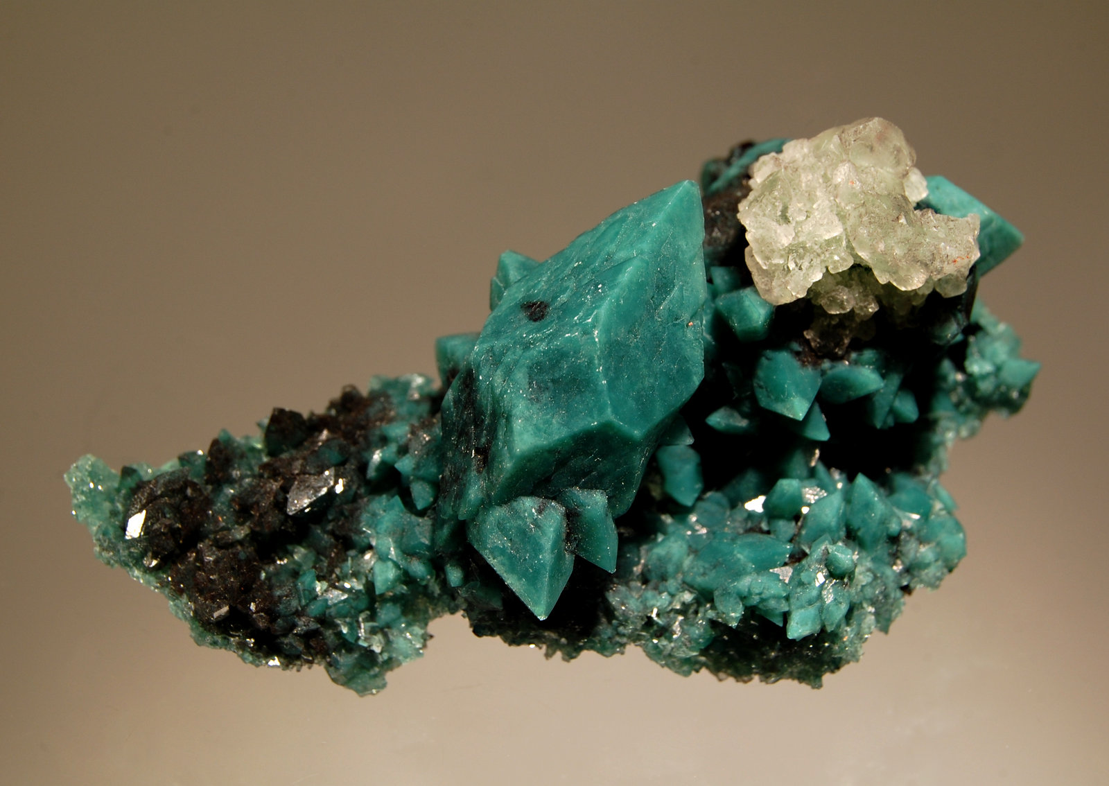 Fluorapophyllite-(K)
4.1 x 7.4 cm
(Autor: Michael Shaw)