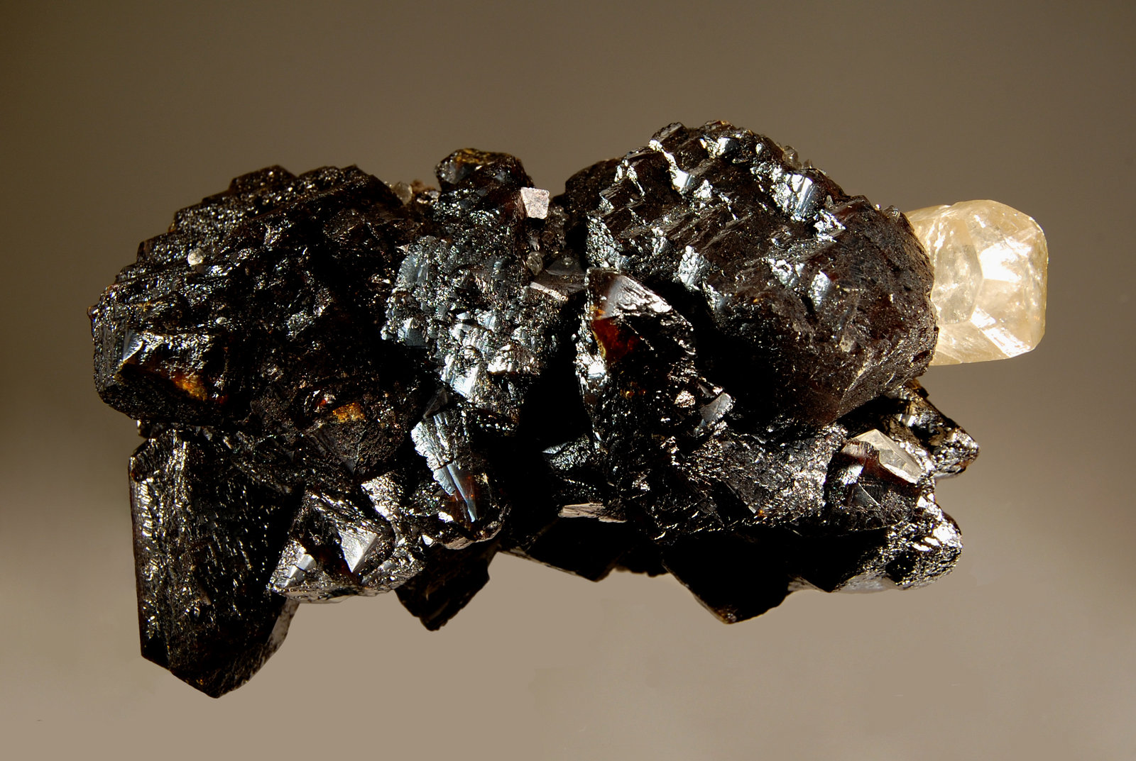 Sphalerite
5.0 x 9.2 cm
(Autor: Michael Shaw)