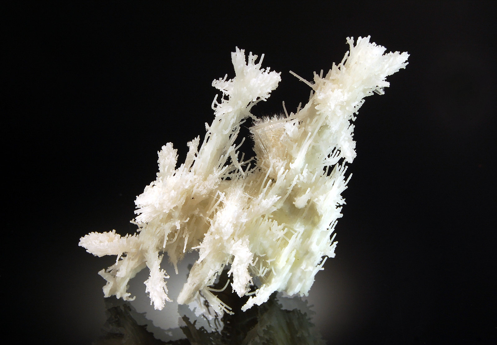 Quartz (variety chalcedony) with Mordenite
7.7 x 11.6 cm
(Autor: Michael Shaw)