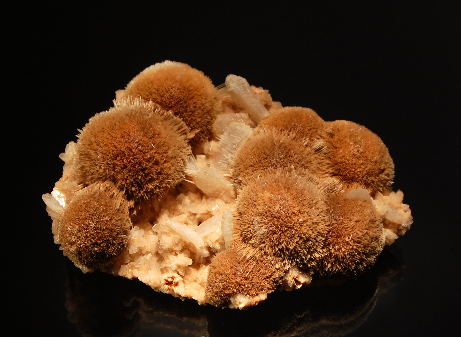 Mesolite
11.4 cm
(Autor: Michael Shaw)