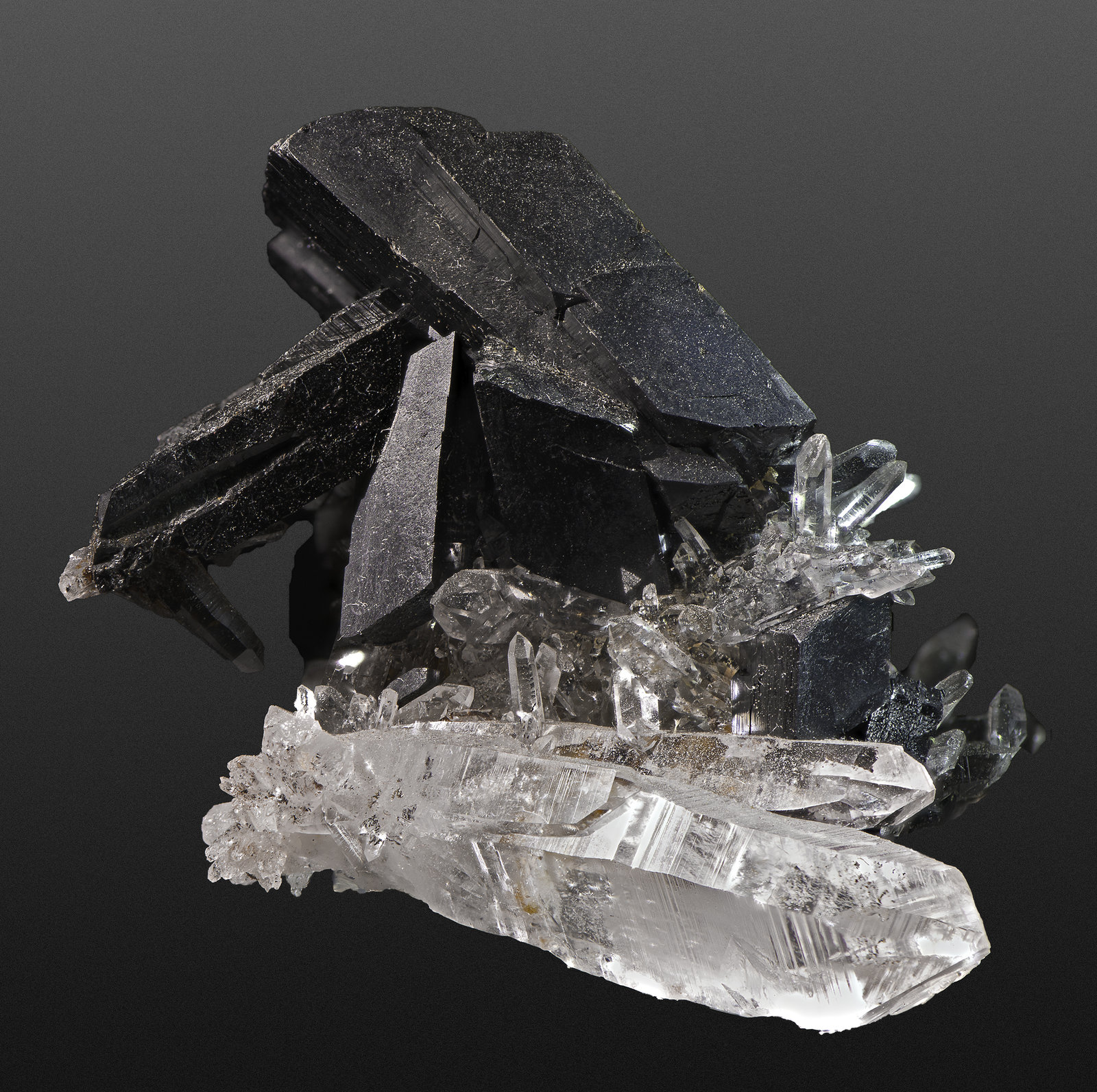 Hübnerite and Quartz
50 x 50 x 40 mm
(Autor: Rob Schnerr)
