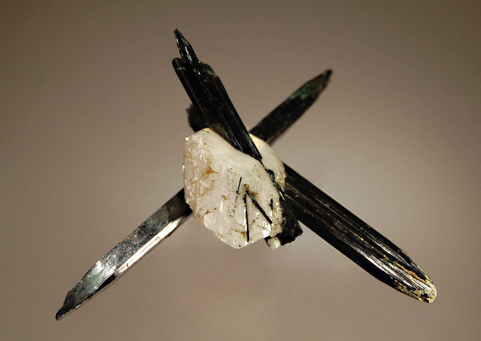 Aegirine
5.3 x 6.5 cm
(Autor: Michael Shaw)
