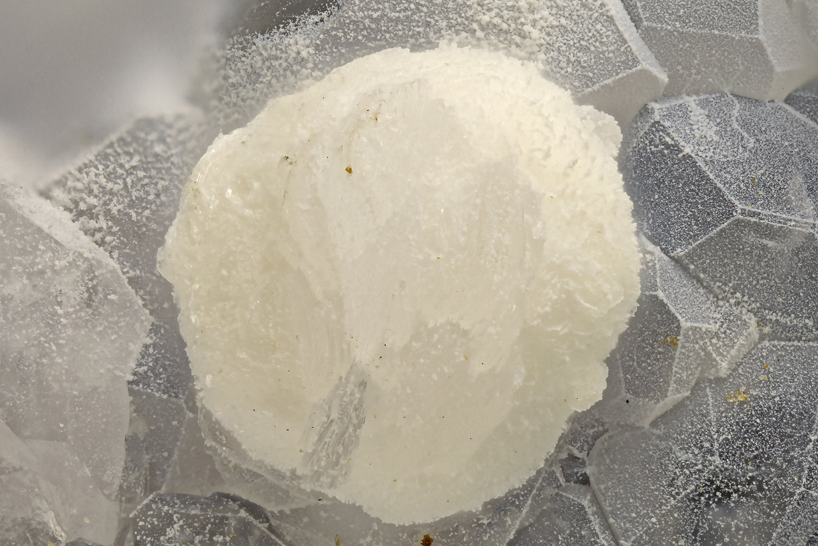 Gyrolite
FOV = 3.2 mm
(Autor: Doug)