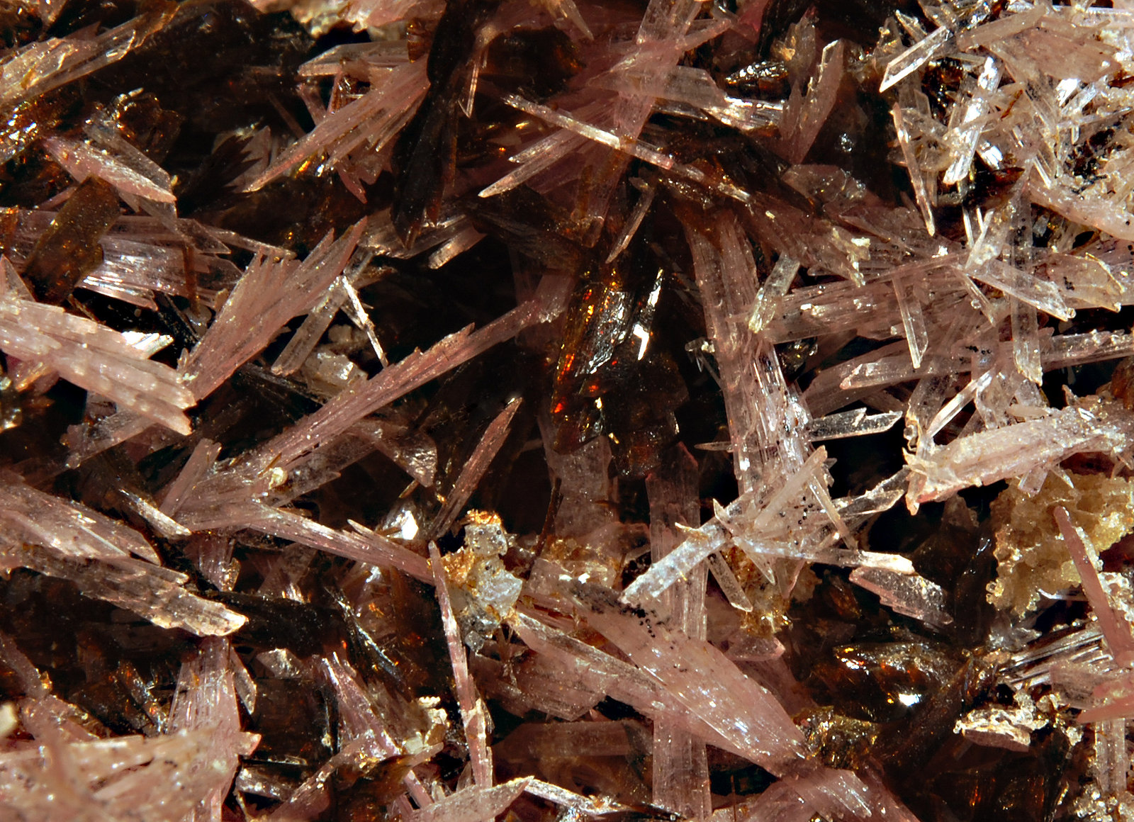 Hubeite
FOV ~ 2.5 cm
(Autor: Michael Shaw)