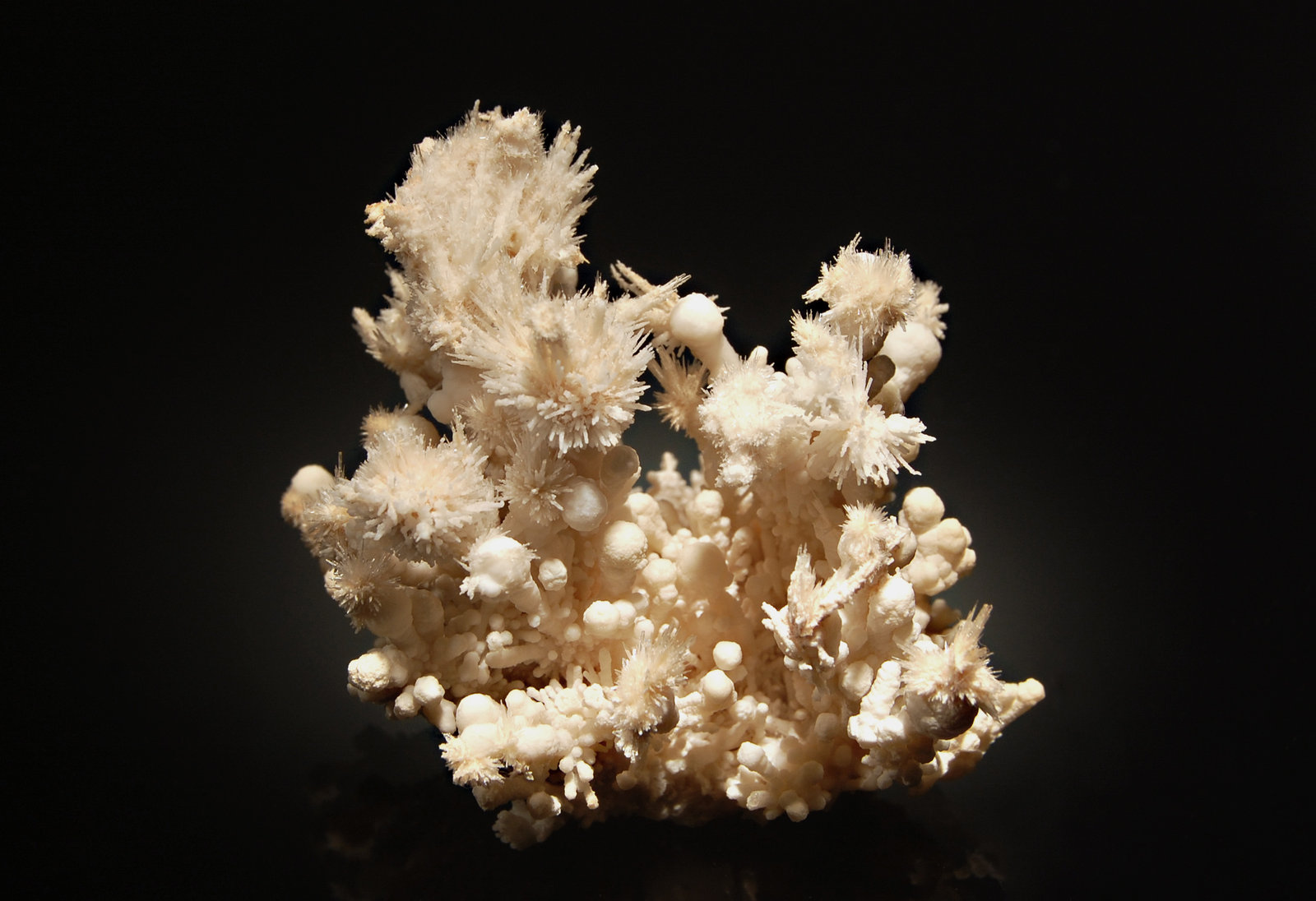 Aragonite
5.0 x 5.9 cm
(Autor: Michael Shaw)