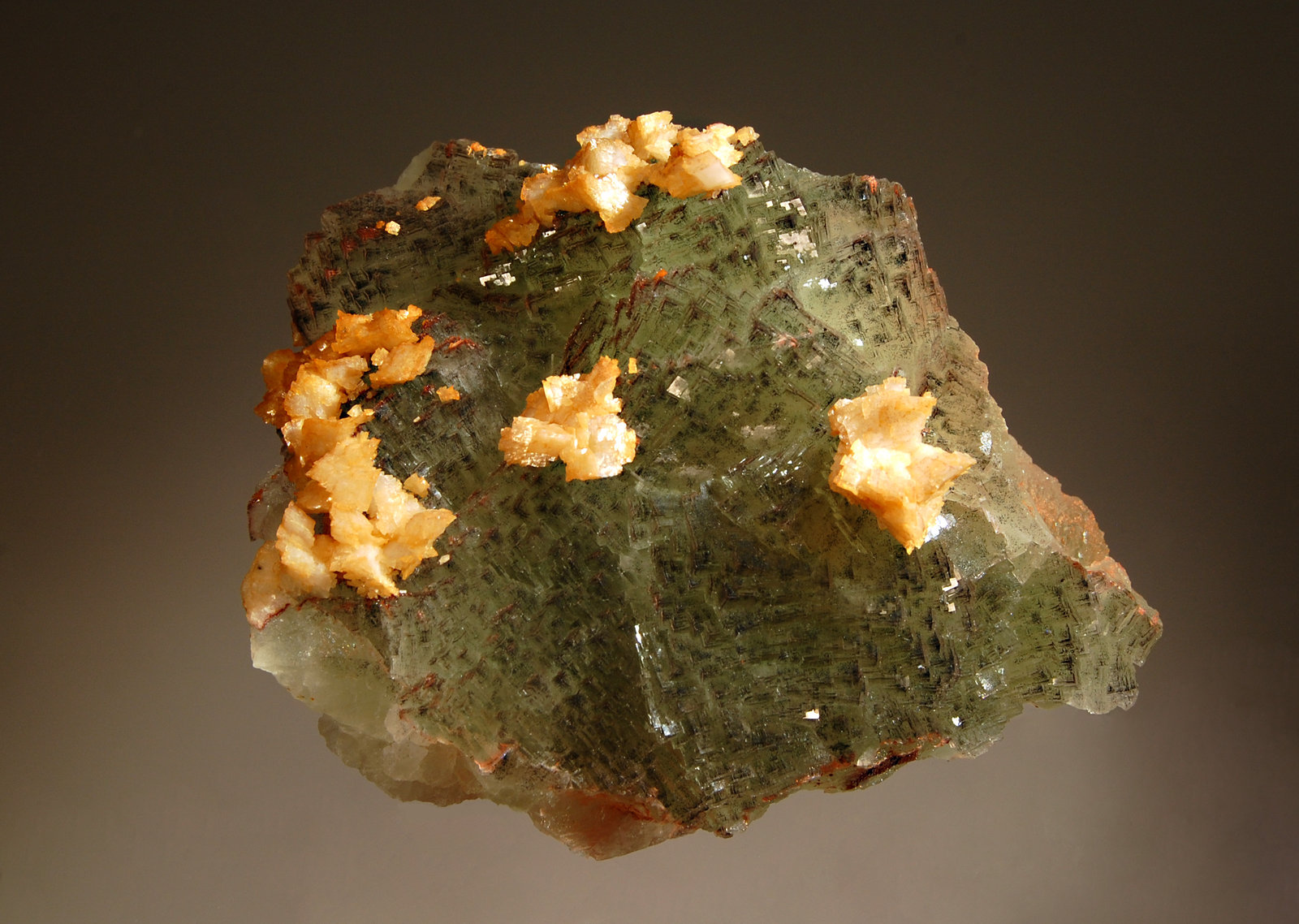 Fluorite
7.5 x 9.8 cm
(Autor: Michael Shaw)