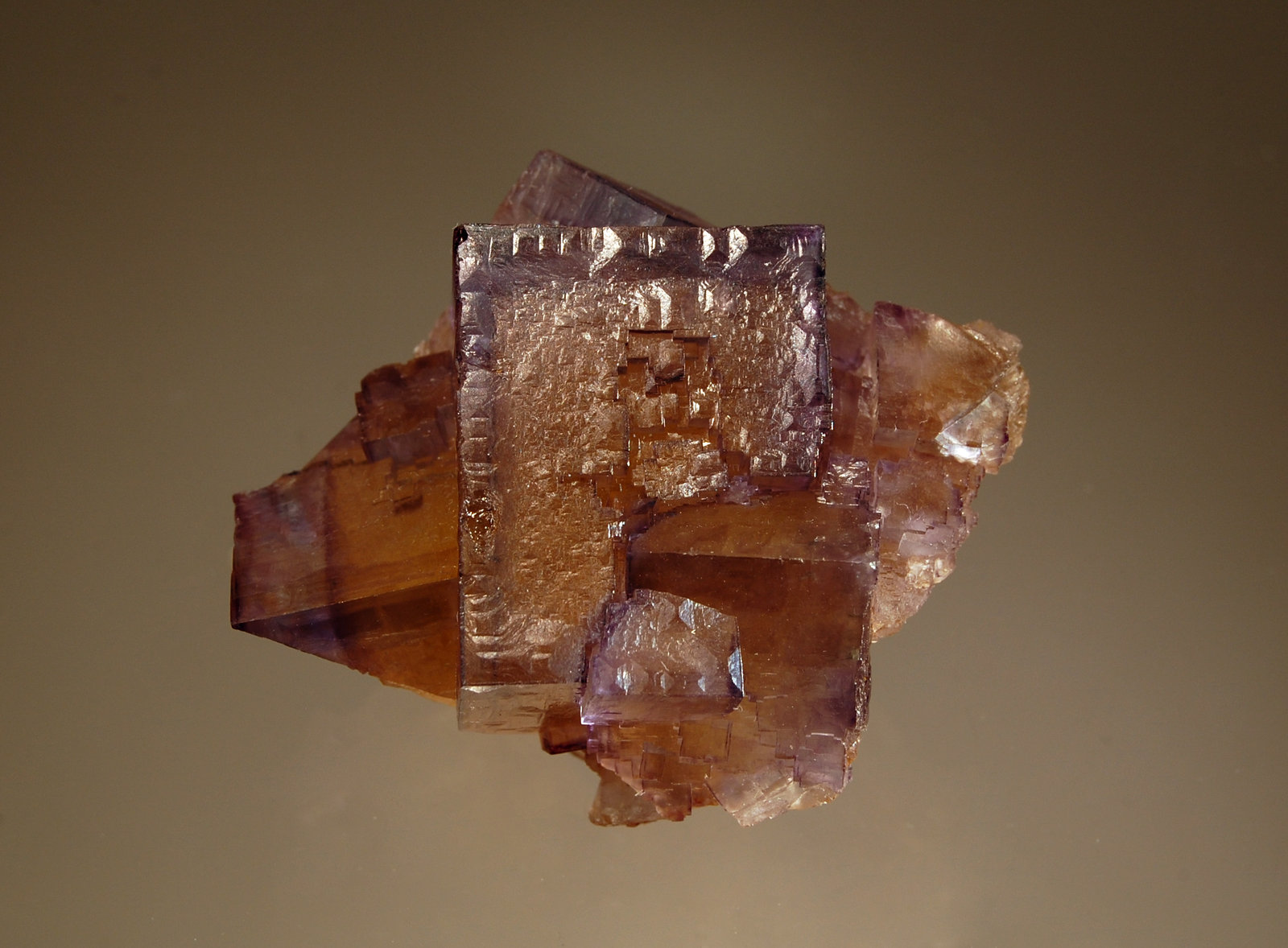 Fluorite
4.5 x 5.2 cm
(Autor: Michael Shaw)