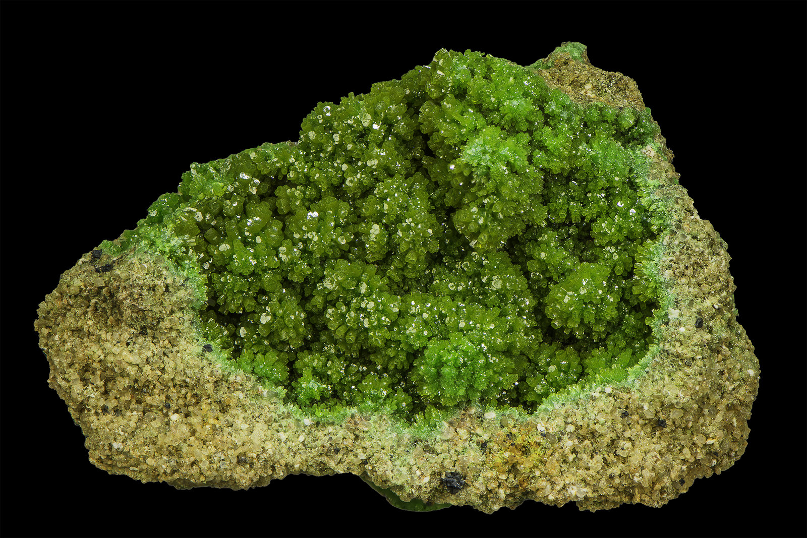 Pyromorphite
3,5 x 2,0 x 2,0 mm
(Autor: Rob Schnerr)