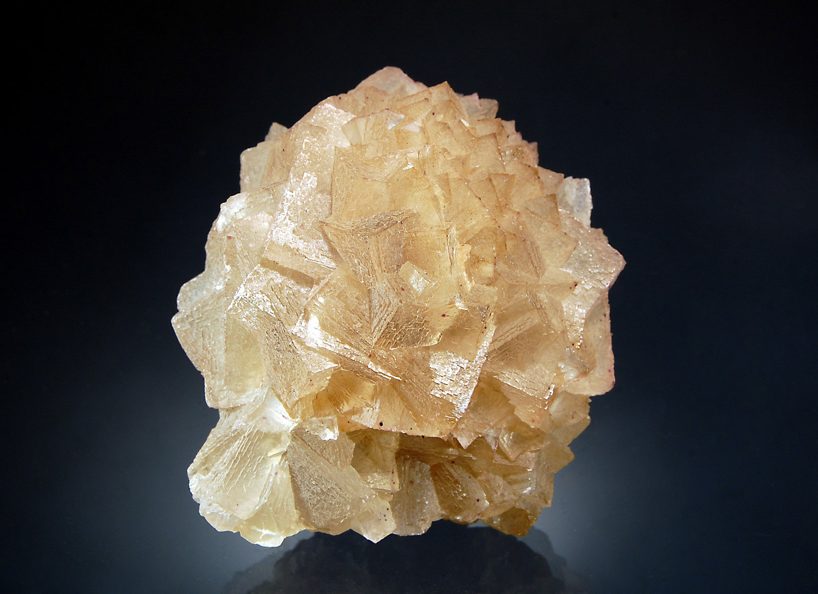 Fluorite
7.2 x 8.2 cm
(Autor: Michael Shaw)