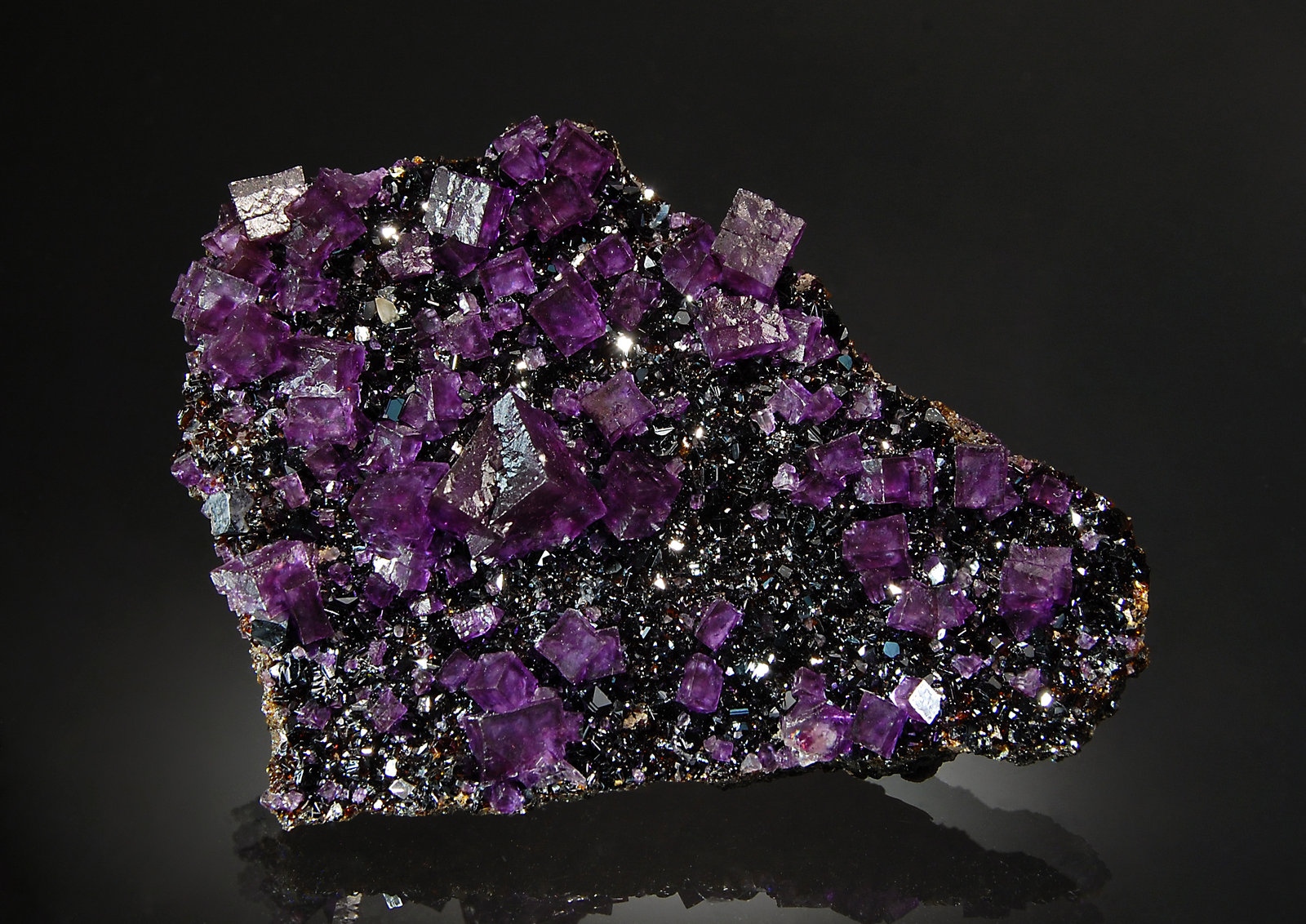 Fluorite
6.2 x 8.5 cm
(Autor: Michael Shaw)