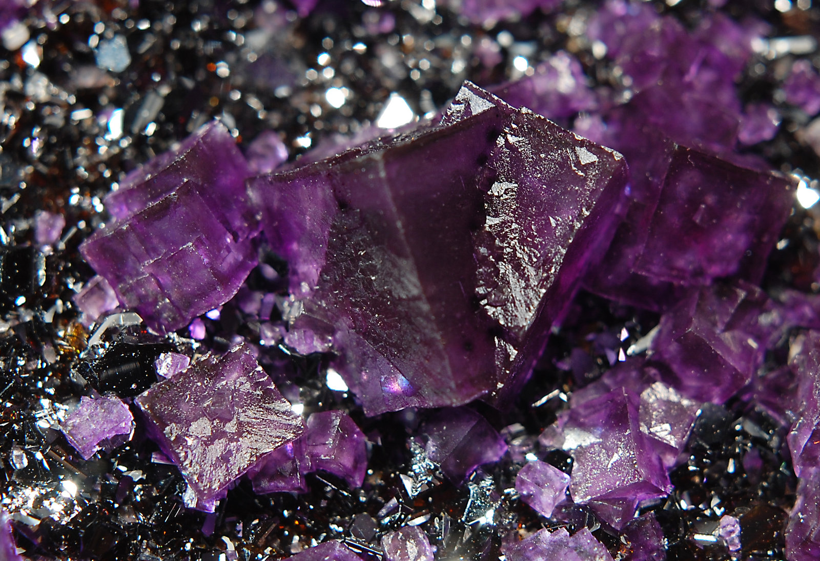 Fluorite
6.2 x 8.5 cm
(Autor: Michael Shaw)