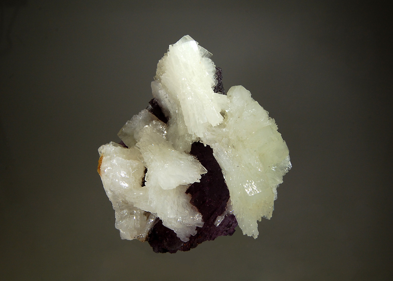 Barite
5.5 x 7.0 cm
(Autor: Michael Shaw)