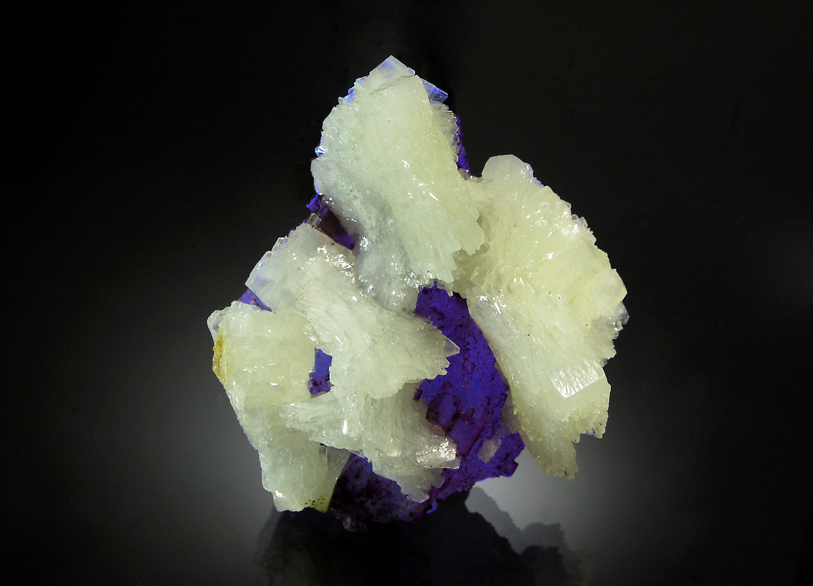 Barite
5.5 x 7.0 cm
(Autor: Michael Shaw)