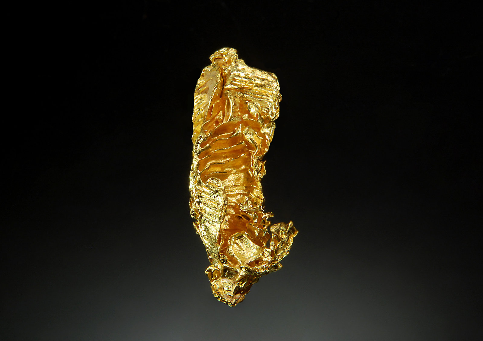 Gold
2.0 x 4.0 cm
(Autor: Michael Shaw)