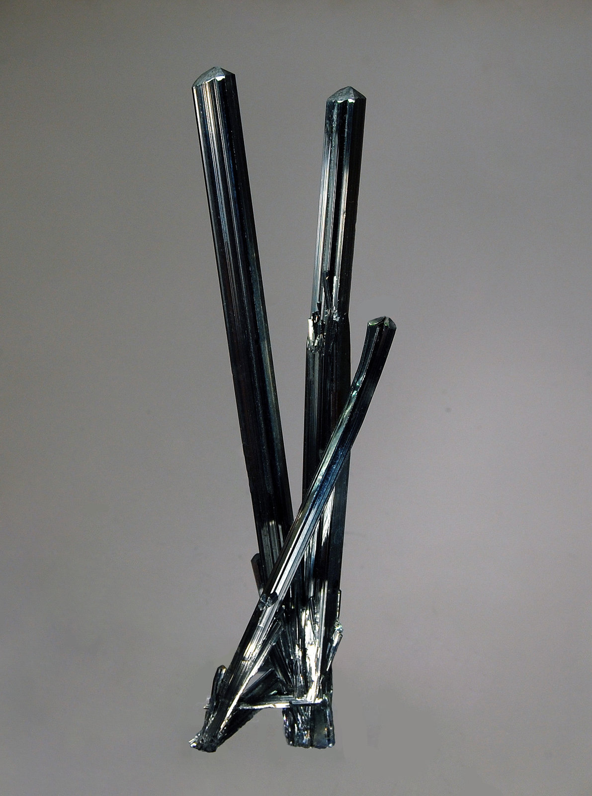 Stibnite
2.7 x 11.9 cm
(Autor: Michael Shaw)