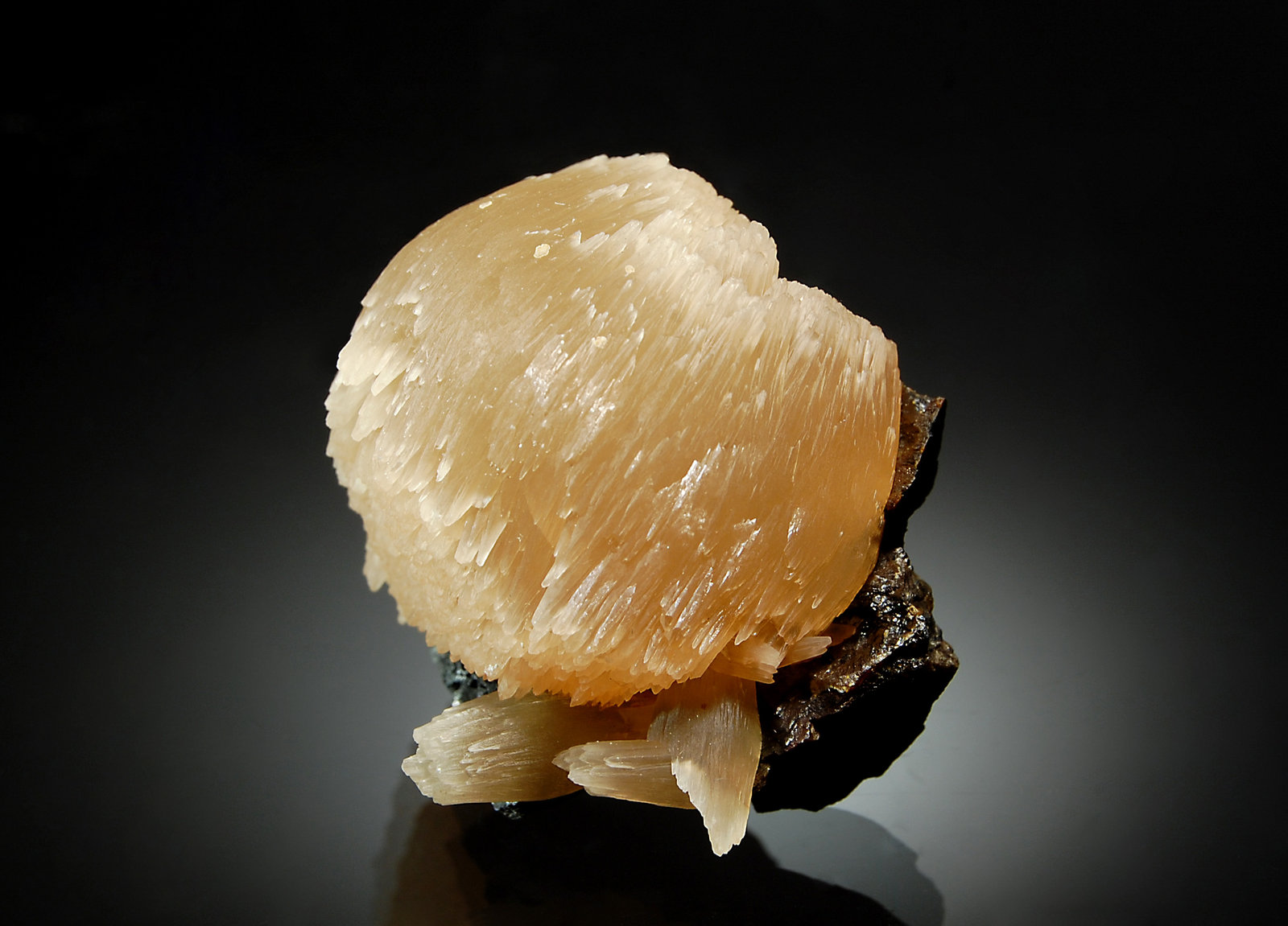 Calcite
3.0 x 3.6 cm
(Autor: Michael Shaw)
