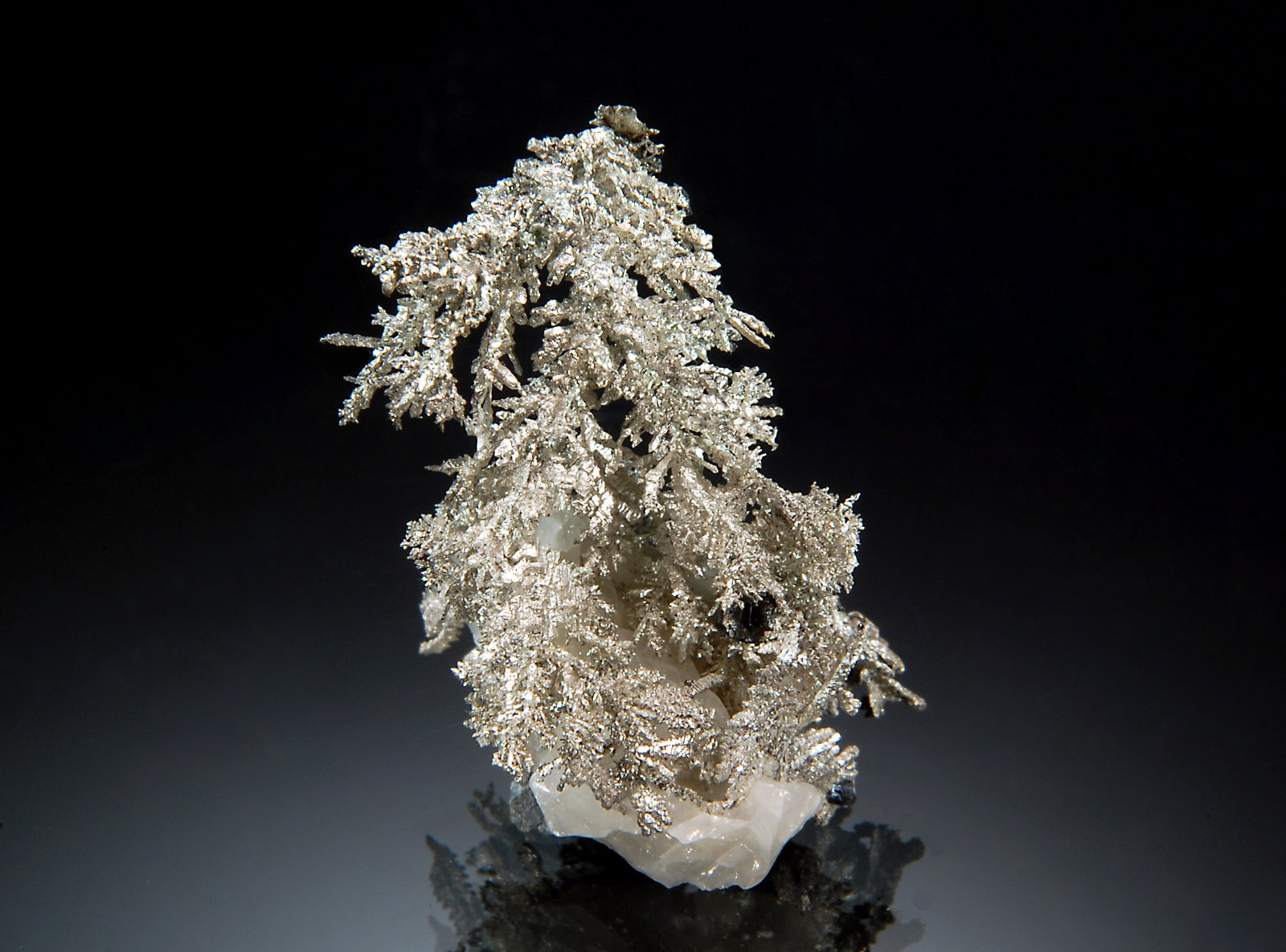 Silver
2.5 x 3.5 cm
(Autor: Michael Shaw)