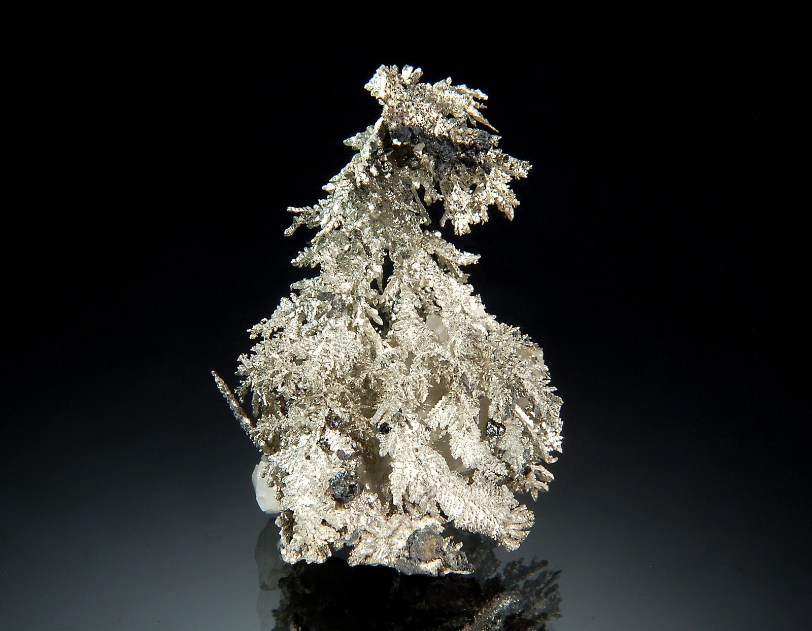 Silver
2.5 x 3.5 cm
(Autor: Michael Shaw)