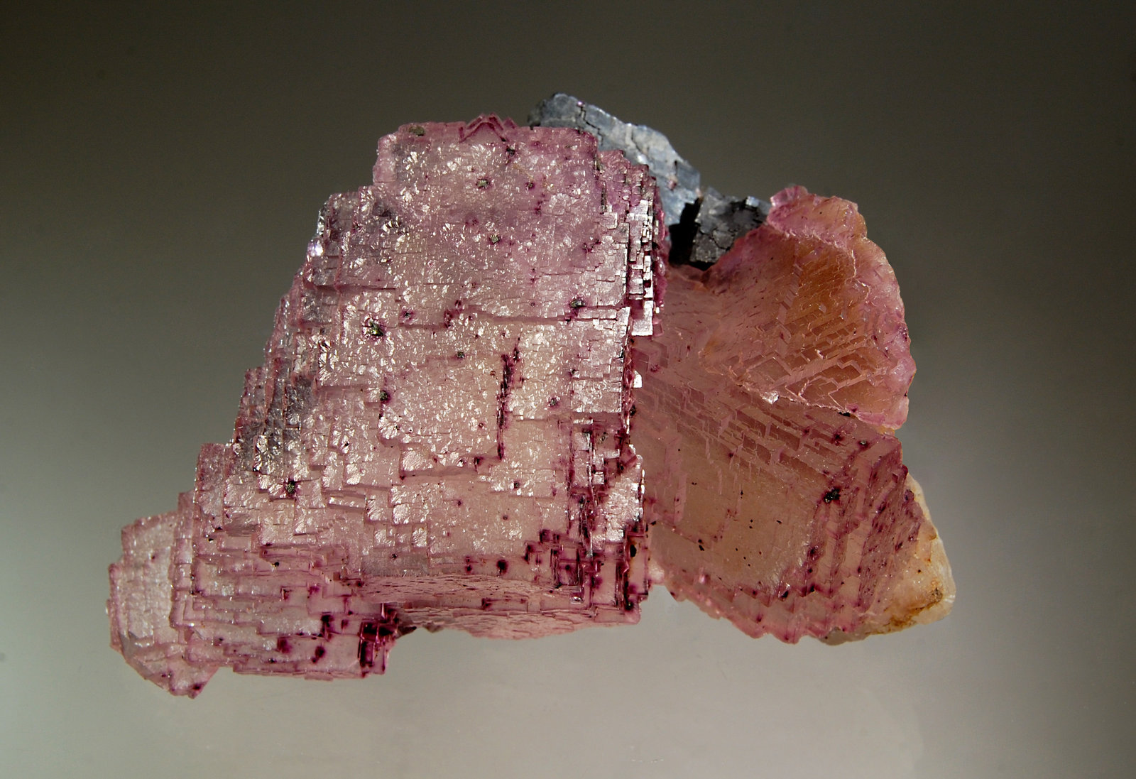 Fluorite
6.5 x 9.9 cm
(Autor: Michael Shaw)