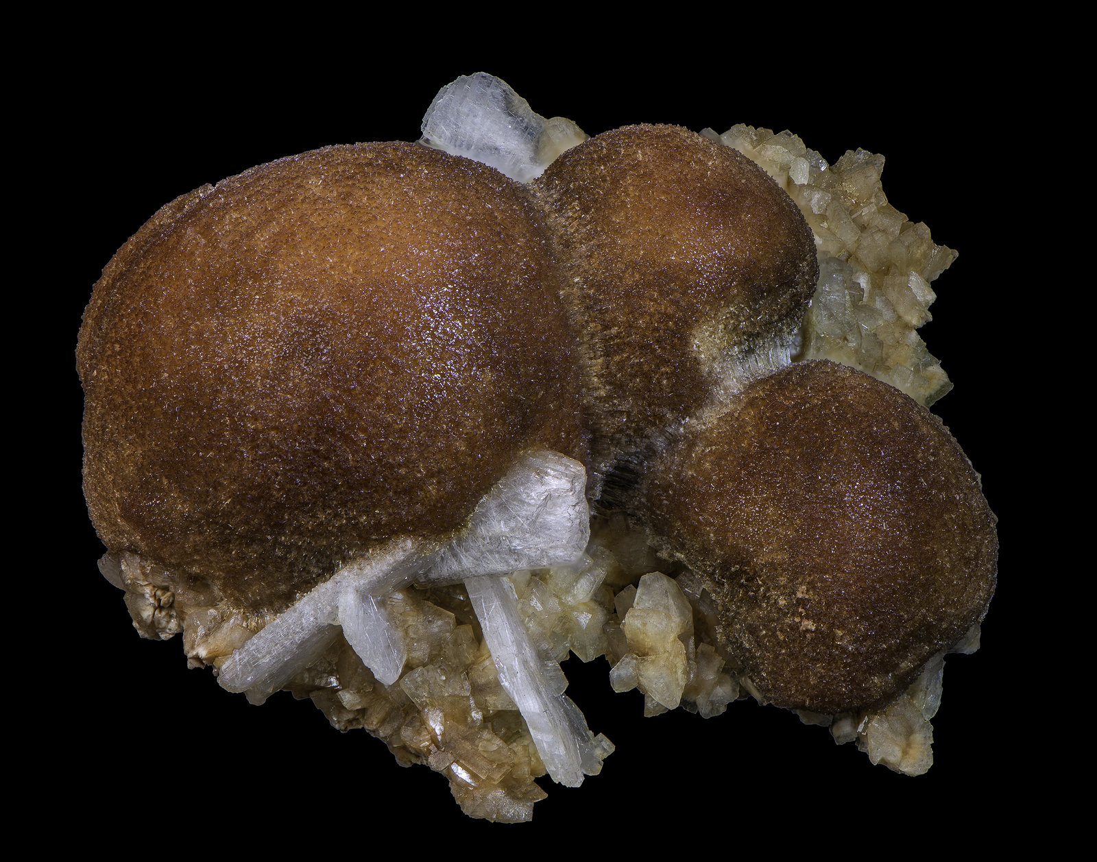 Thomsonite-Ca
62 x 62 x 45
(Autor: Rob Schnerr)