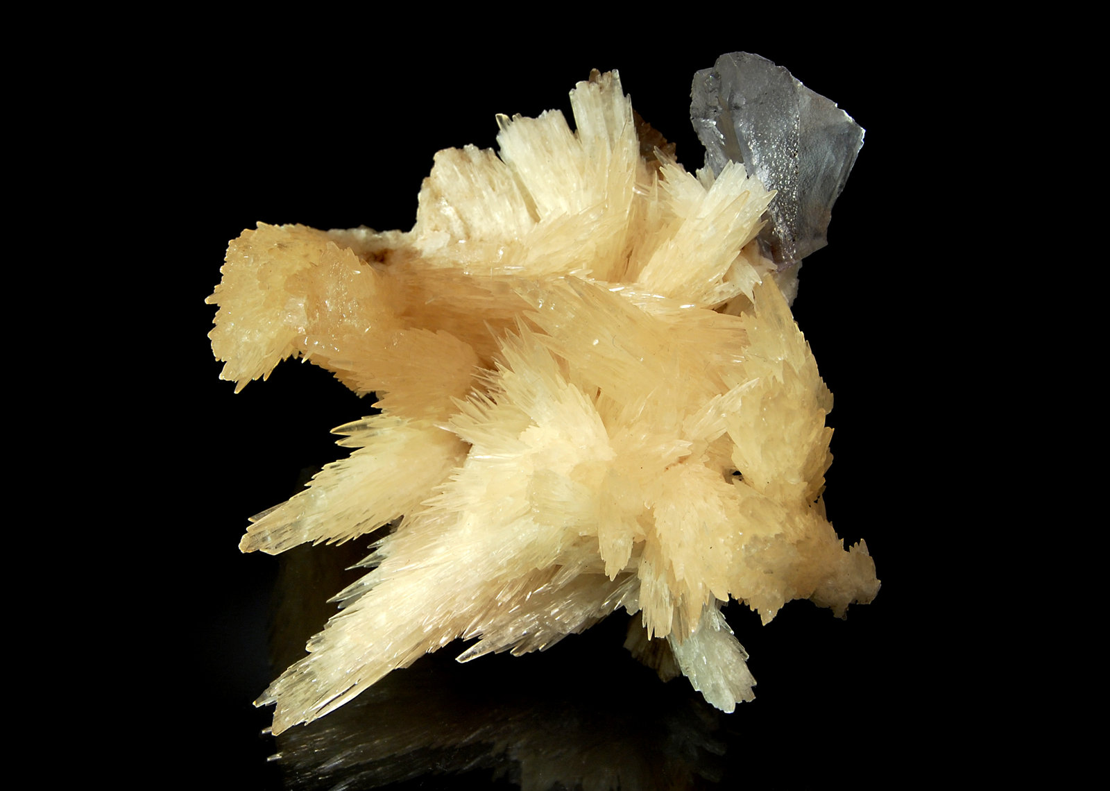 Calcite
7.9 x 8.3 cm
(Autor: Michael Shaw)