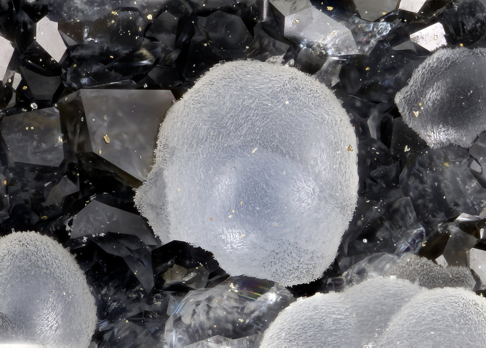 'Thomsonite'
FOV = 1.3 mm
(Autor: Doug)