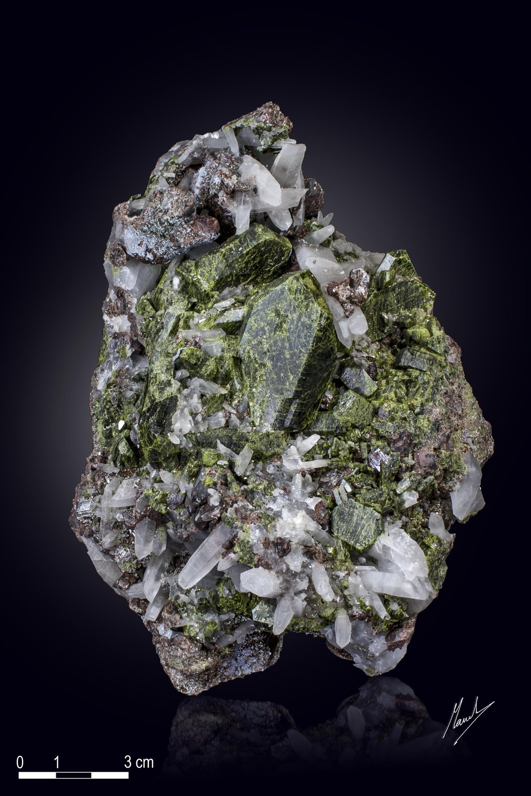 Epidote
160 x 105 mm
(Autor: Manuel Mesa)
