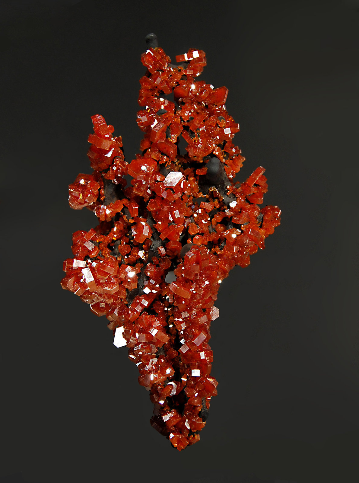 Vanadinite
2.8 x 5.5 cm
(Autor: Michael Shaw)