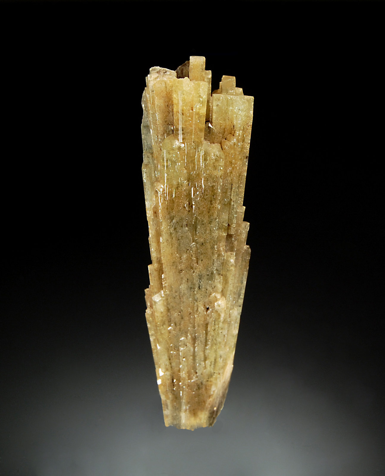 Diopside
2.1 x 8.8 cm
(Autor: Michael Shaw)