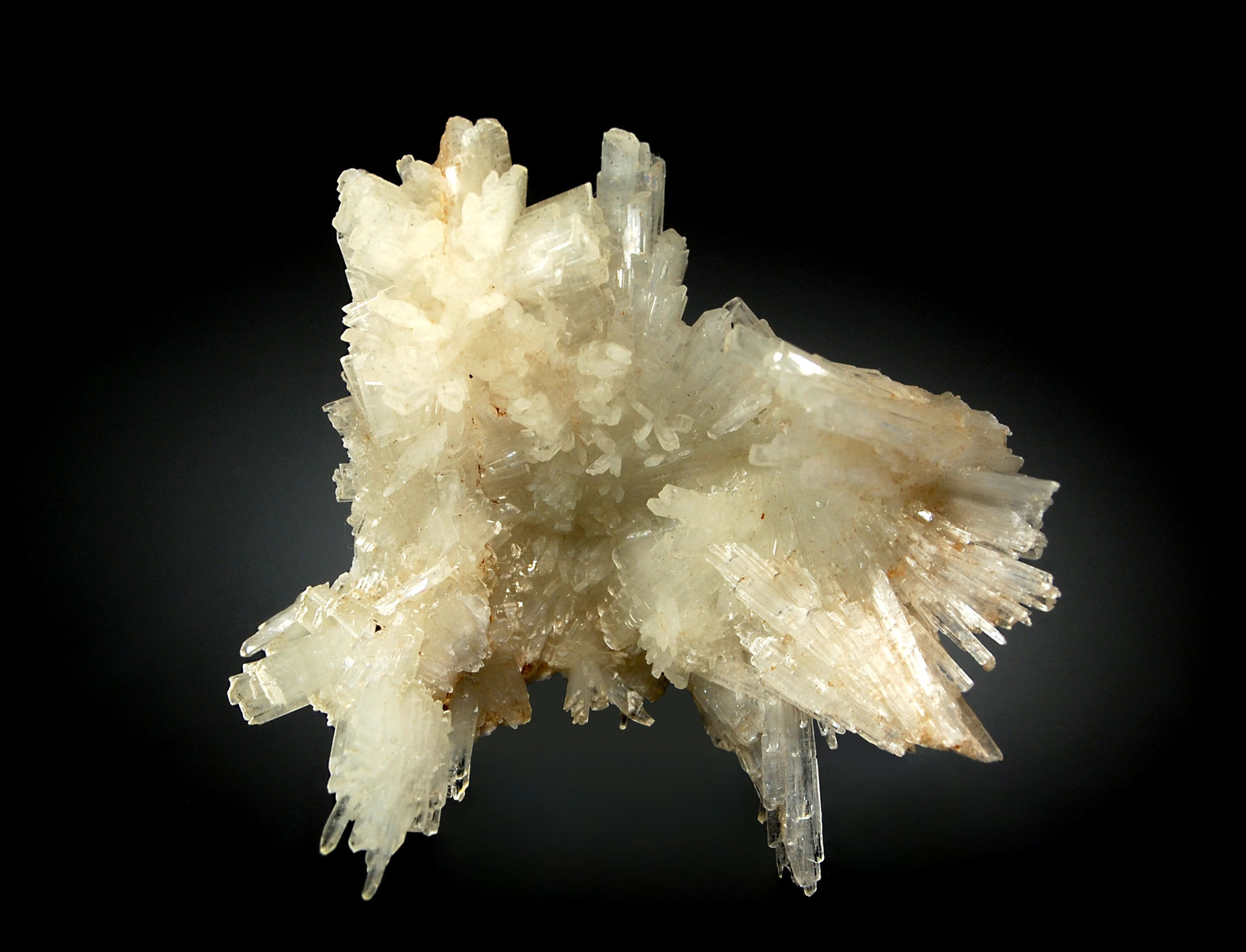 Pectolite
4.5 x 5.4 cm
(Autor: Michael Shaw)
