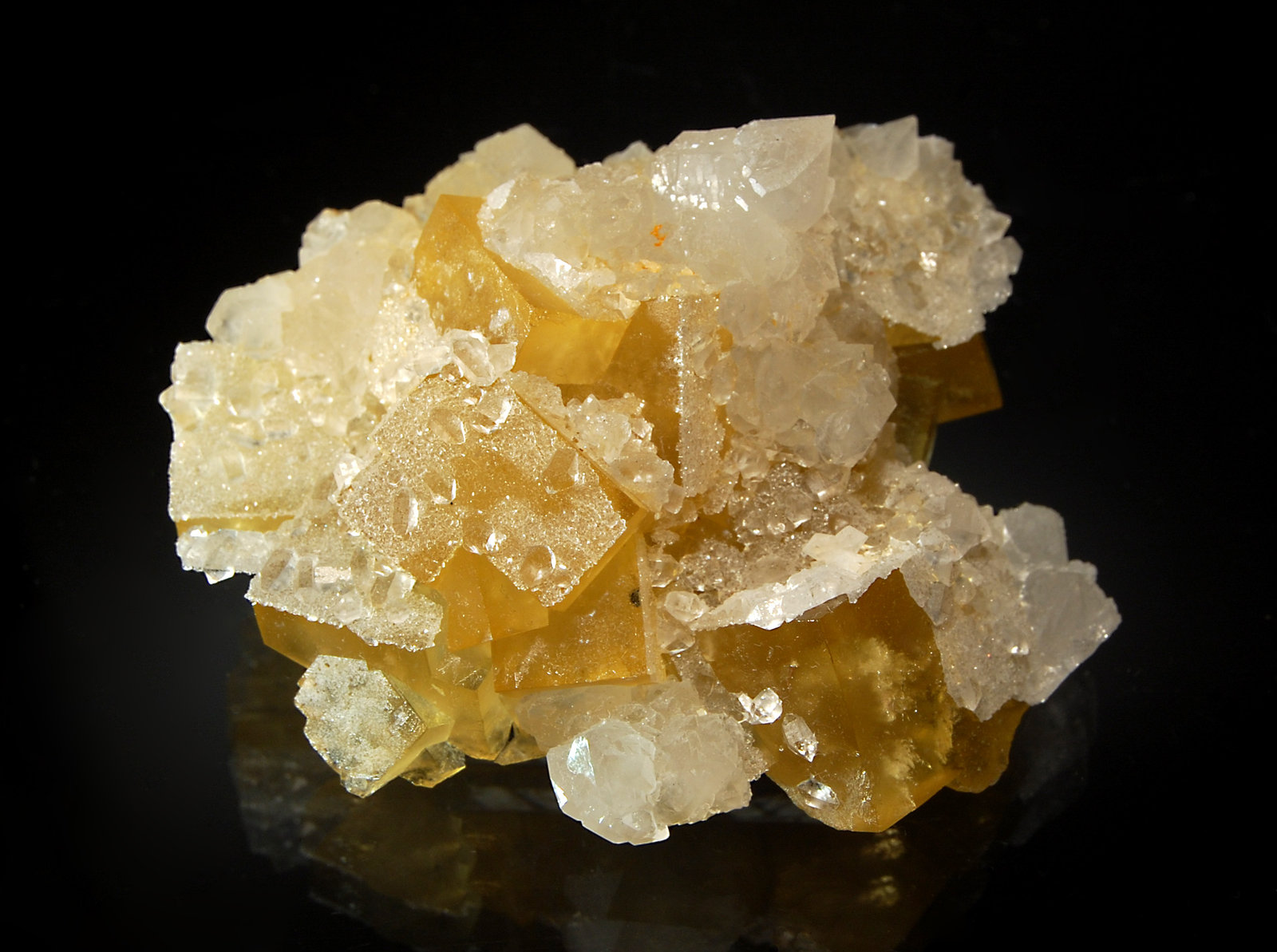 Fluorite
6.4 x 6.6 cm
(Autor: Michael Shaw)