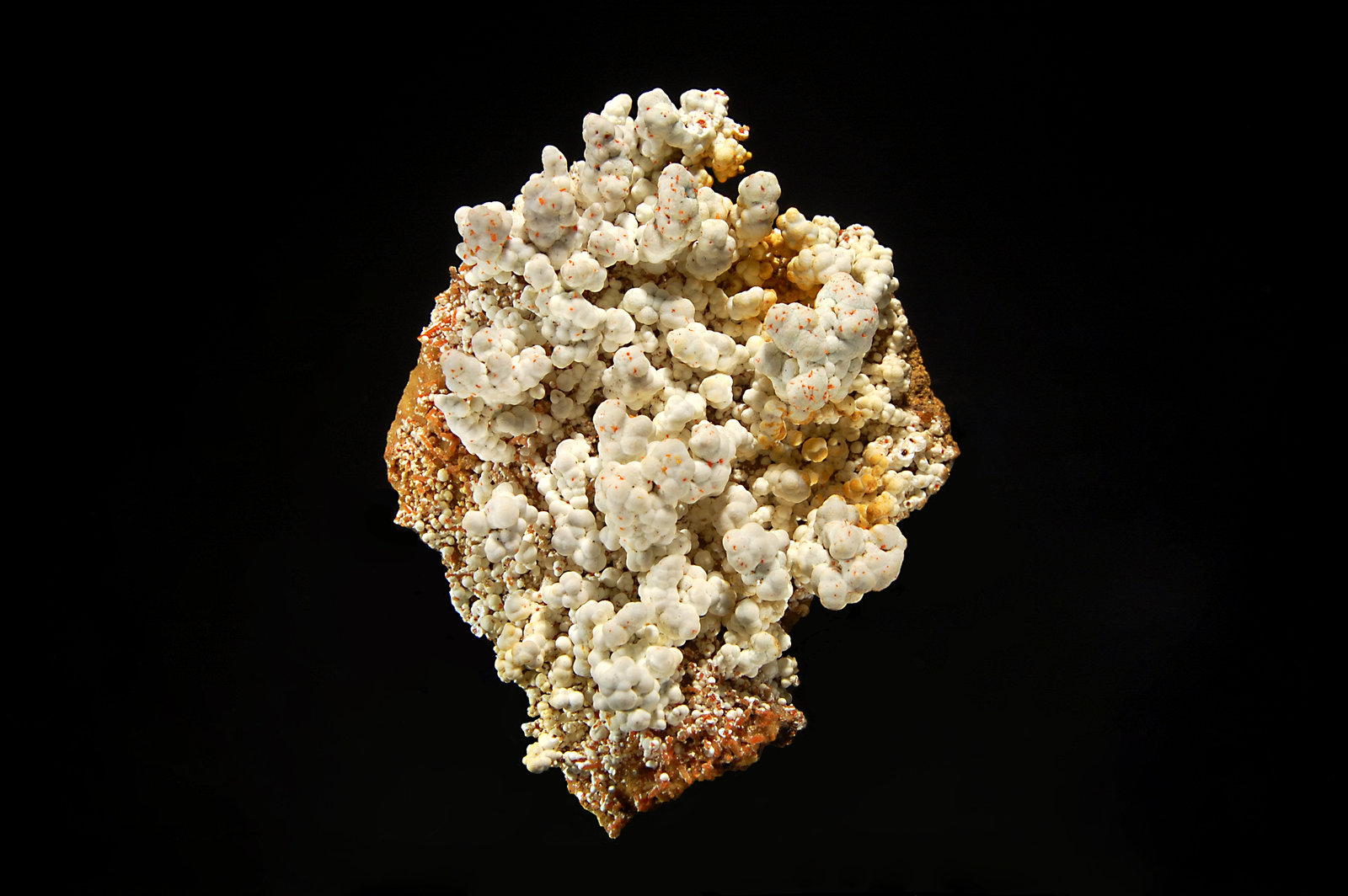 Dundasite
5.7 x 7.1 cm
(Autor: Michael Shaw)