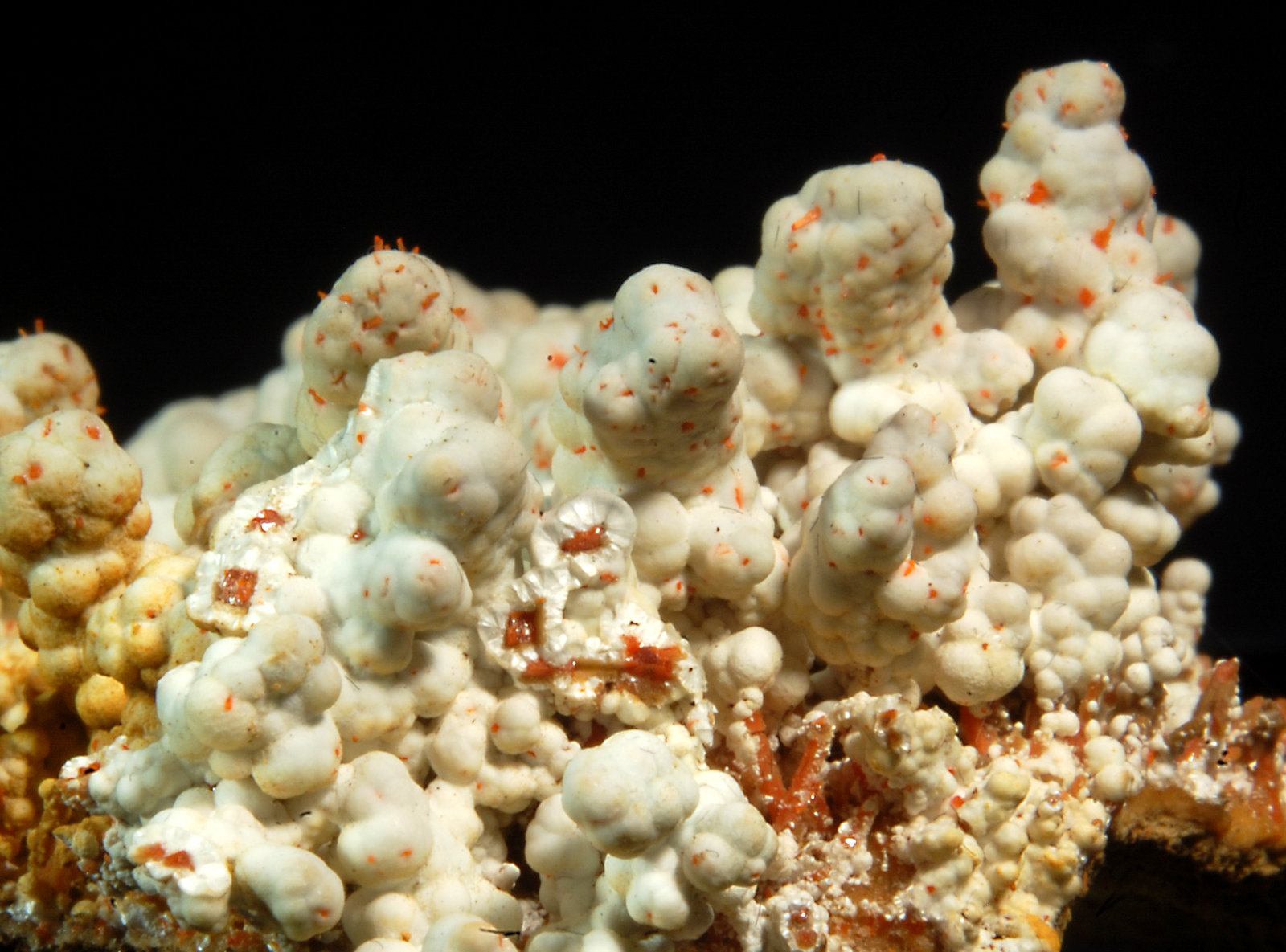 Dundasite
5.7 x 7.1 cm
(Autor: Michael Shaw)