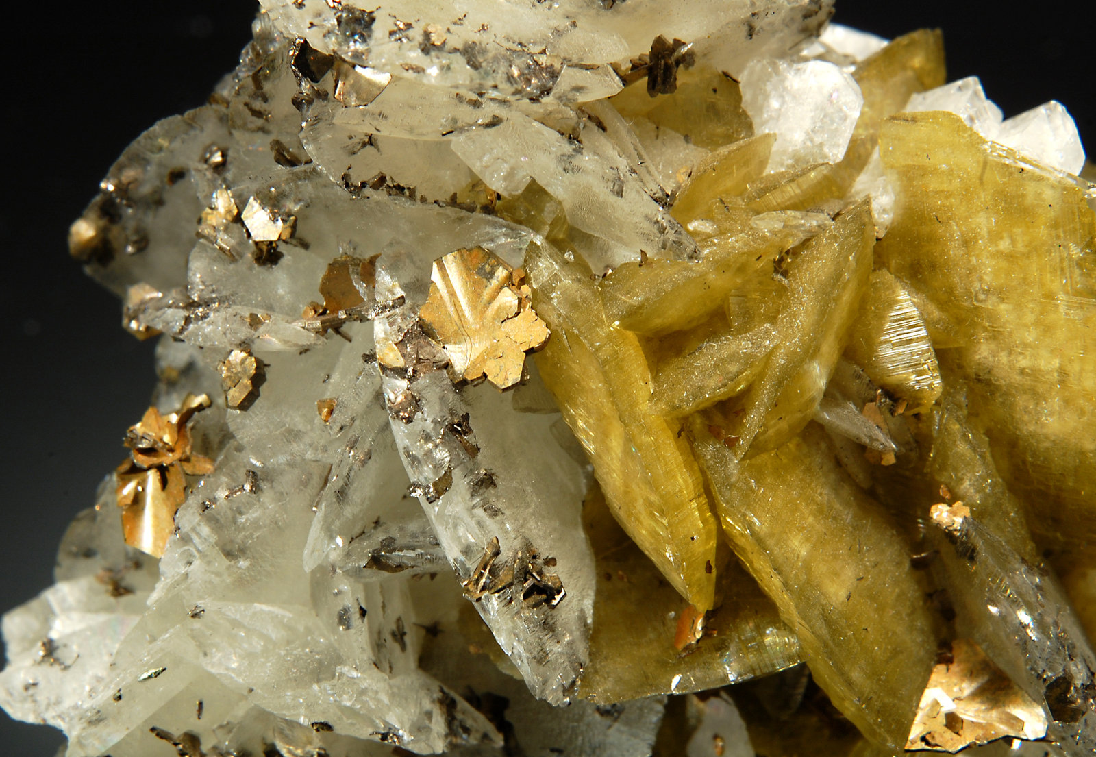 Siderite, dolomite, cubanite
5.5 x 6.1 cm
(Autor: Michael Shaw)