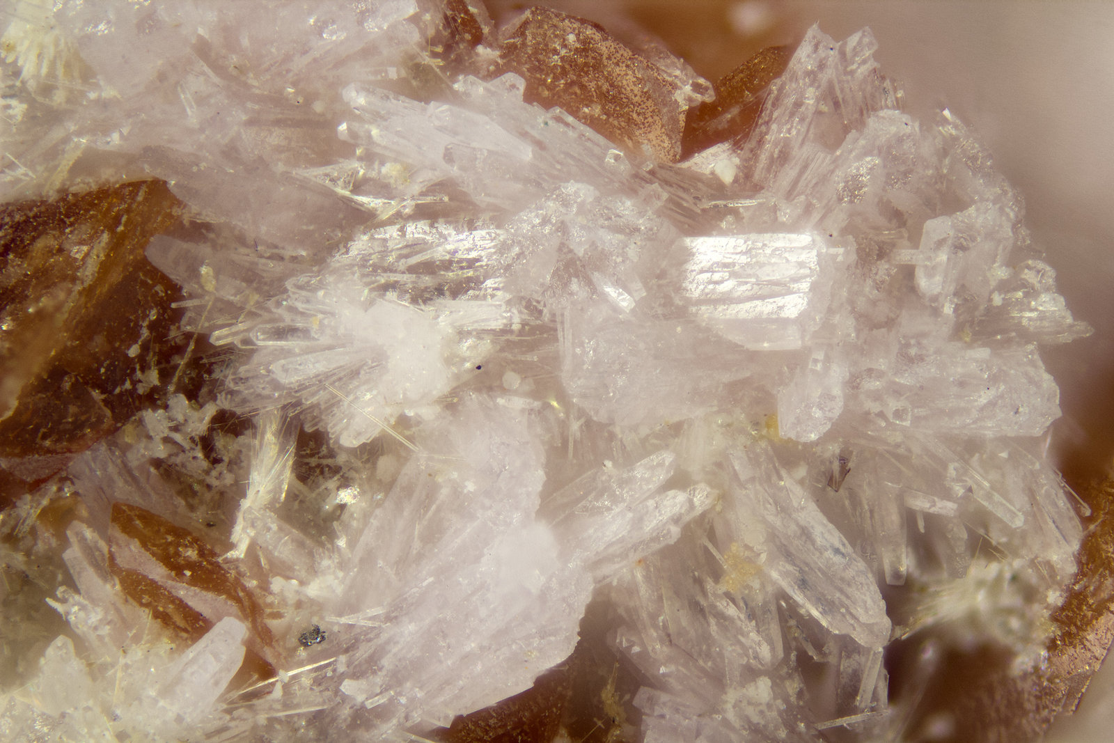 Calcioancylite-(Ce)
FOV = 2mm
(Autor: Doug)