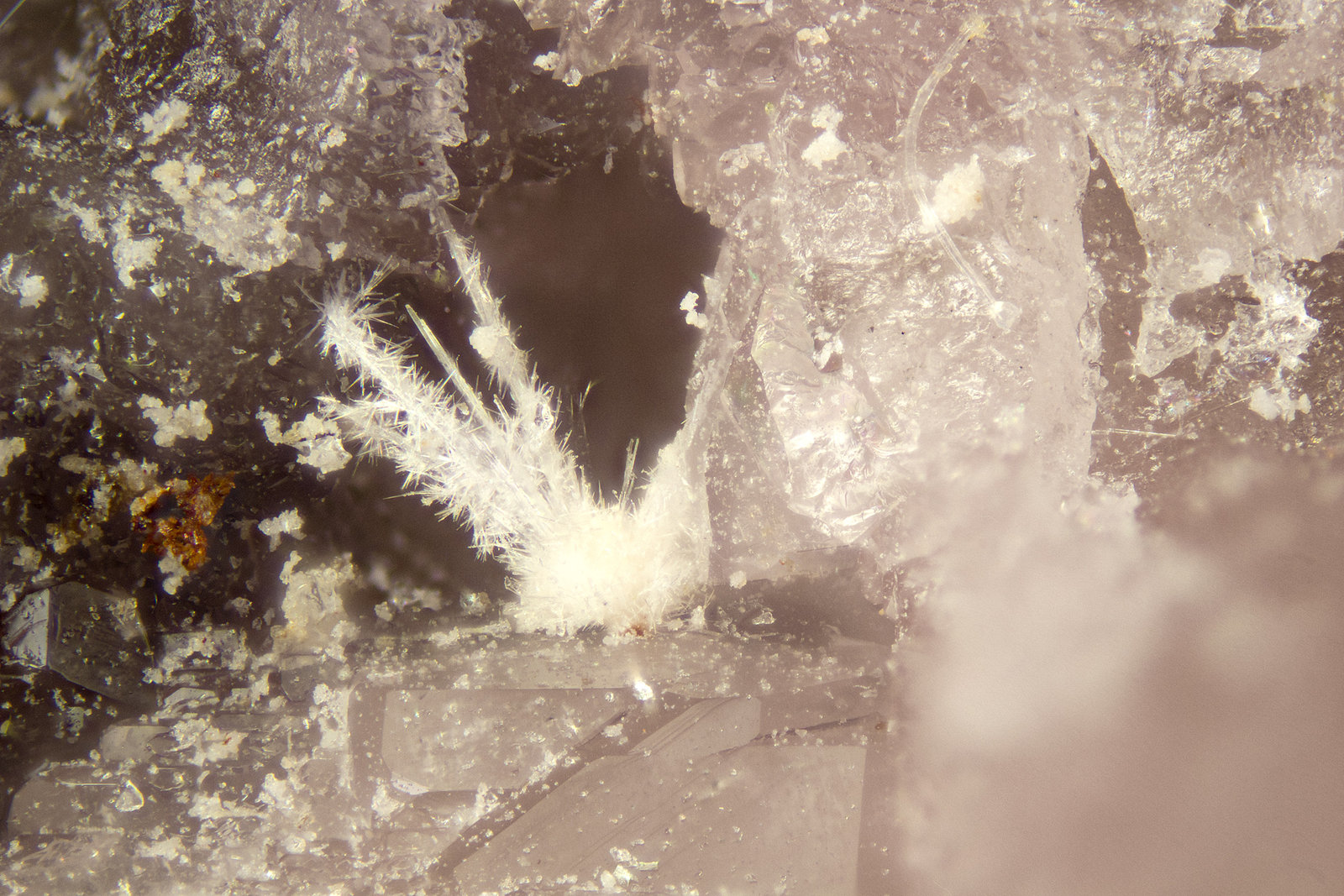 Lintisite
FOV = 2mm
(Autor: Doug)