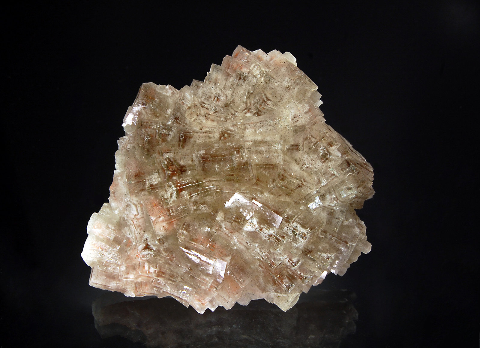Fluorite
7.5 x 8.5 cm
(Autor: Michael Shaw)