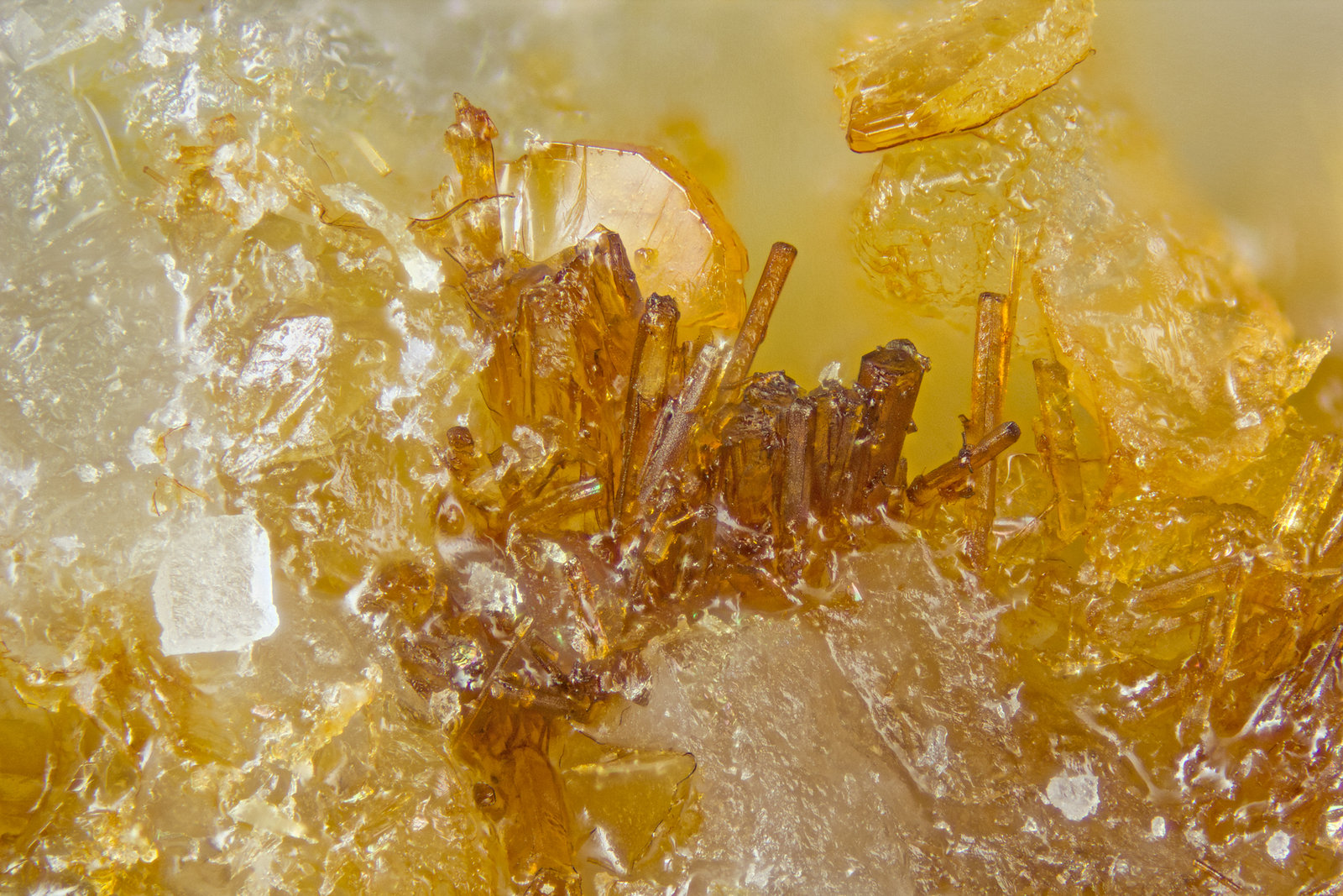 Phosinaite-(Ce)
FOV = 2mm
(Autor: Doug)