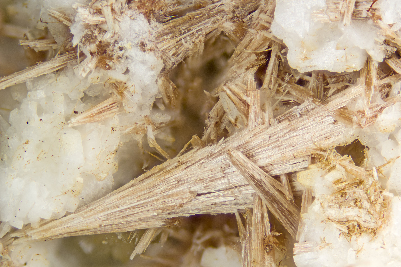 Remondite-(Ce)<br />{LOCALITAT}